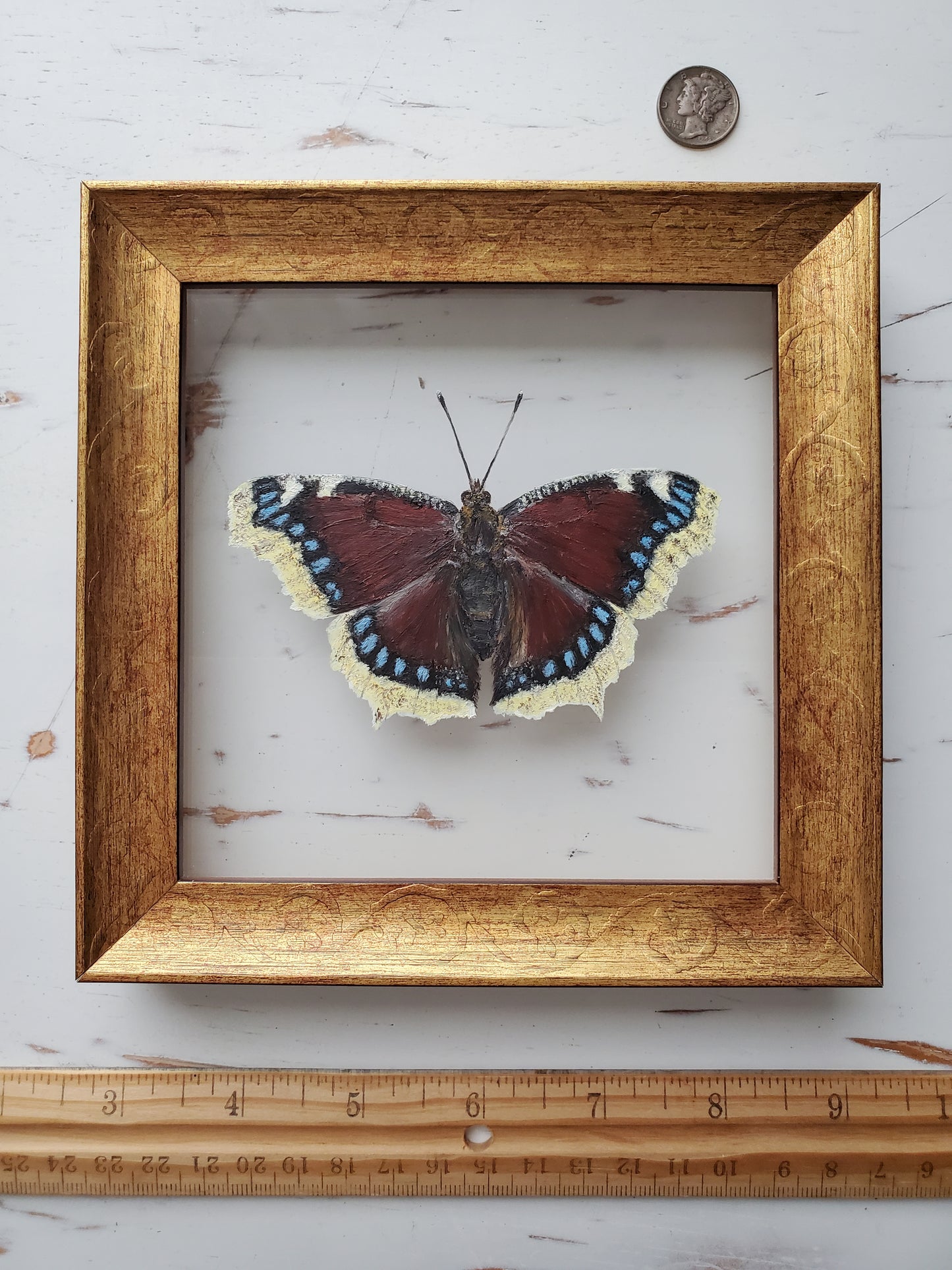 Mourning Cloak