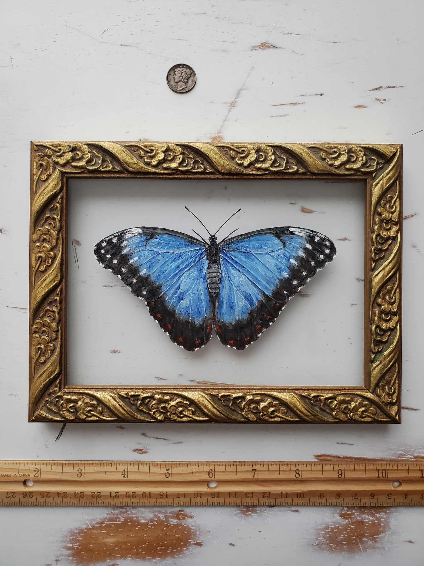 Blue Morpho