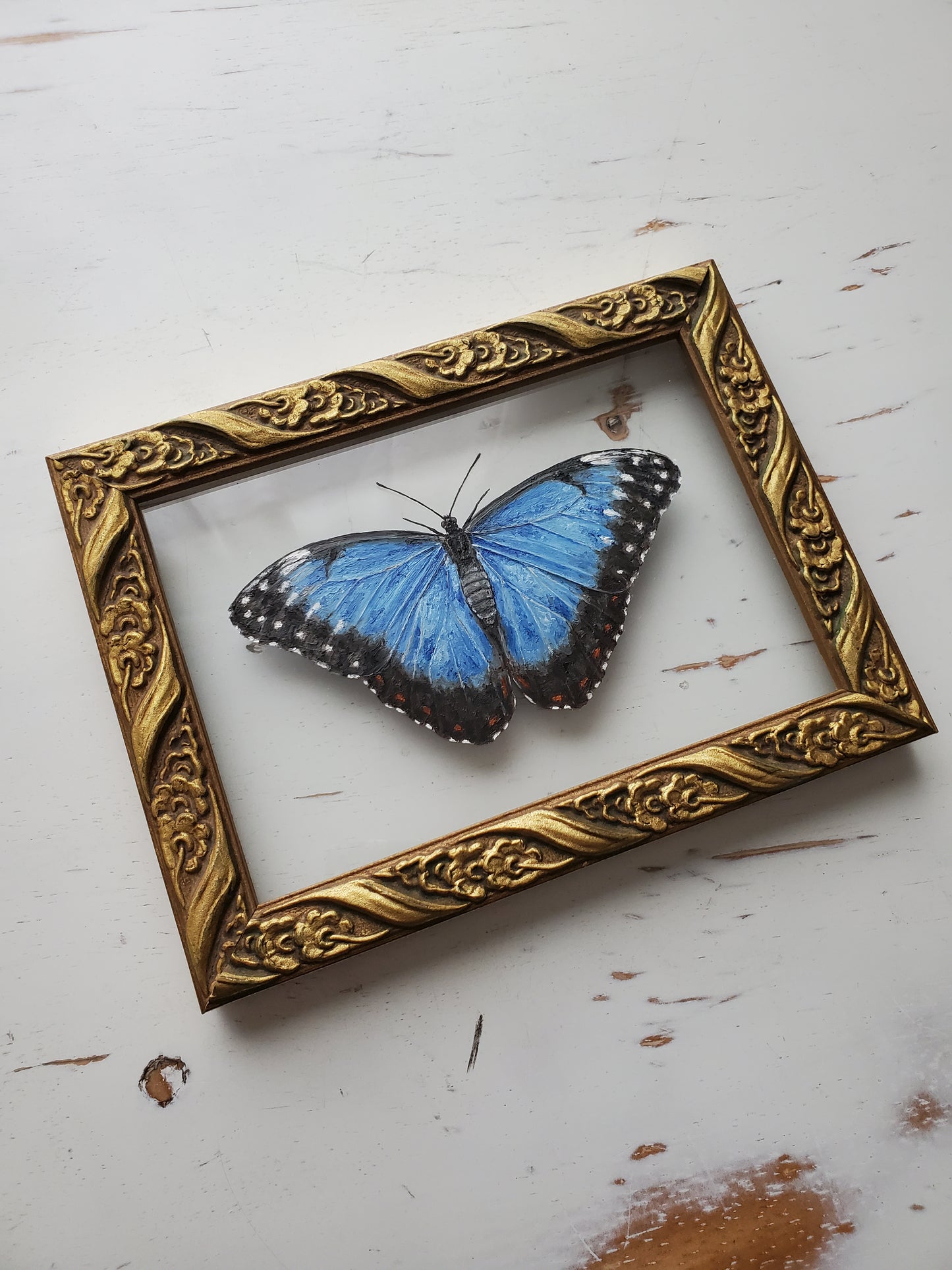 Blue Morpho