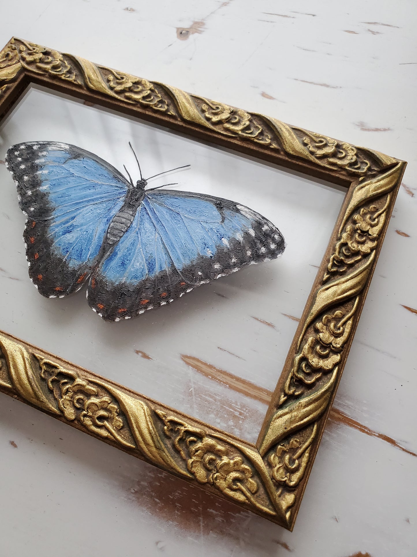 Blue Morpho