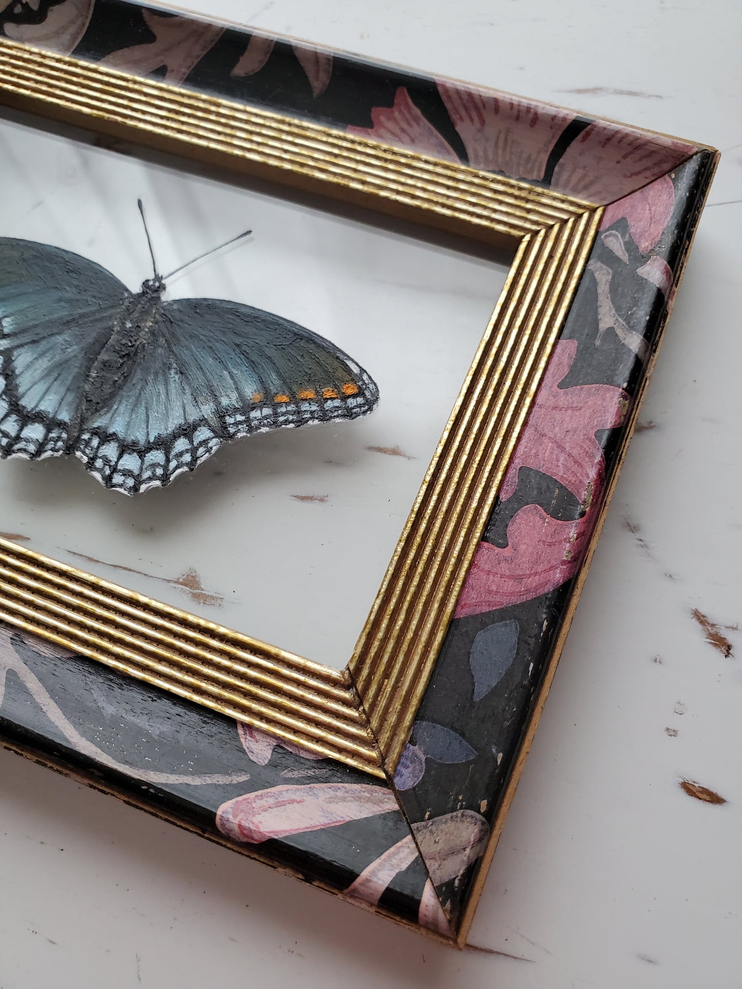 Red-Spotted Purple