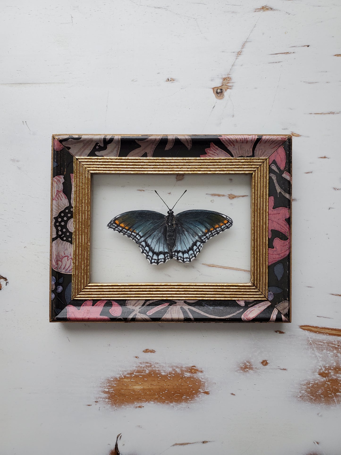 Red-Spotted Purple