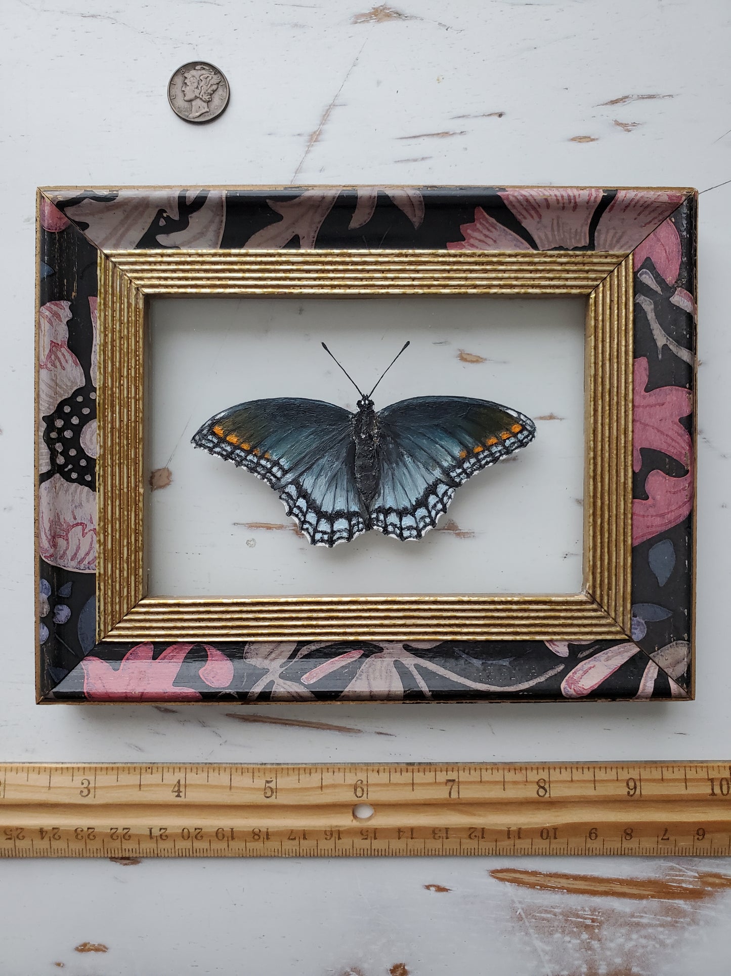 Red-Spotted Purple