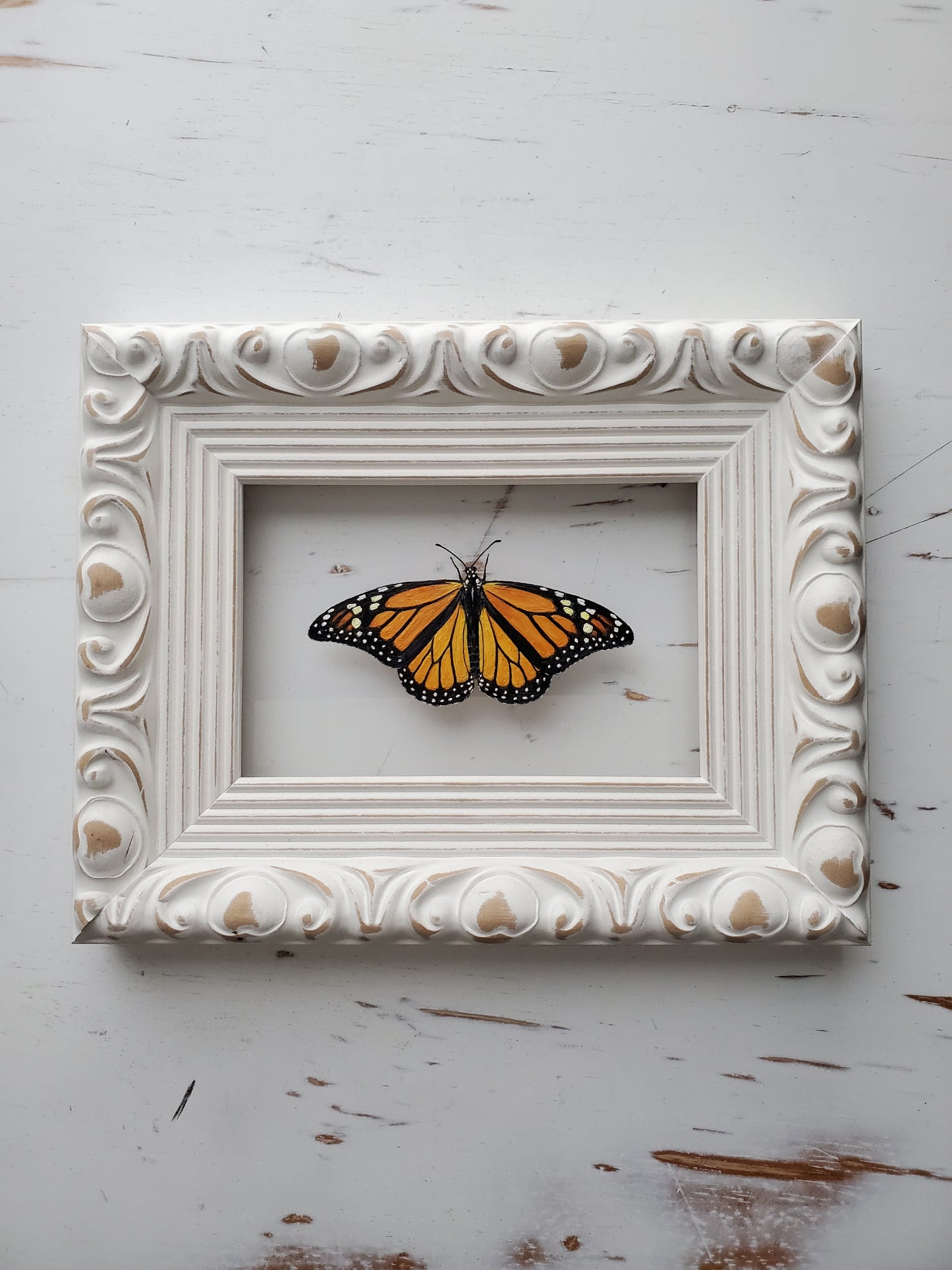Monarch