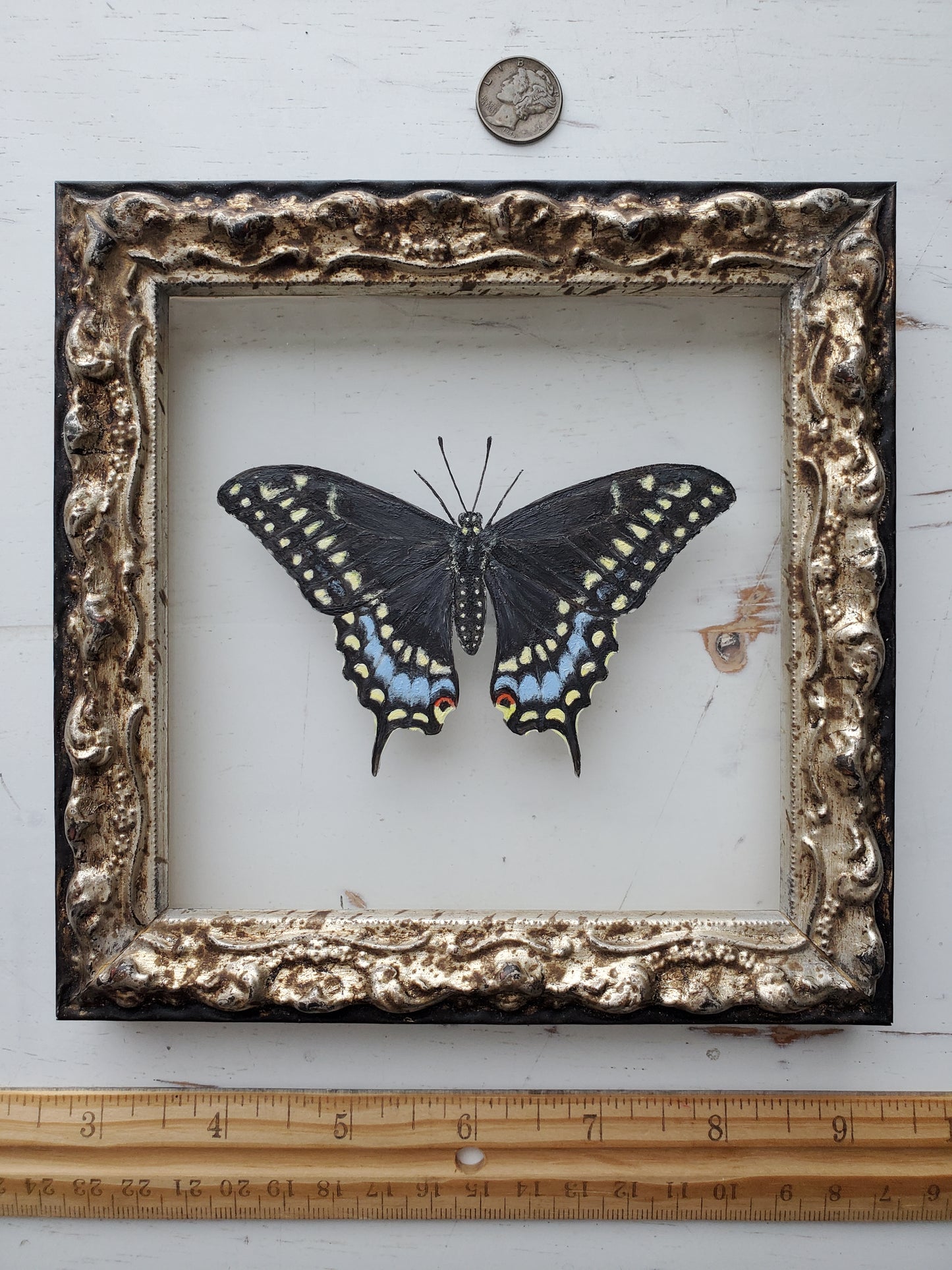 Black Swallowtail