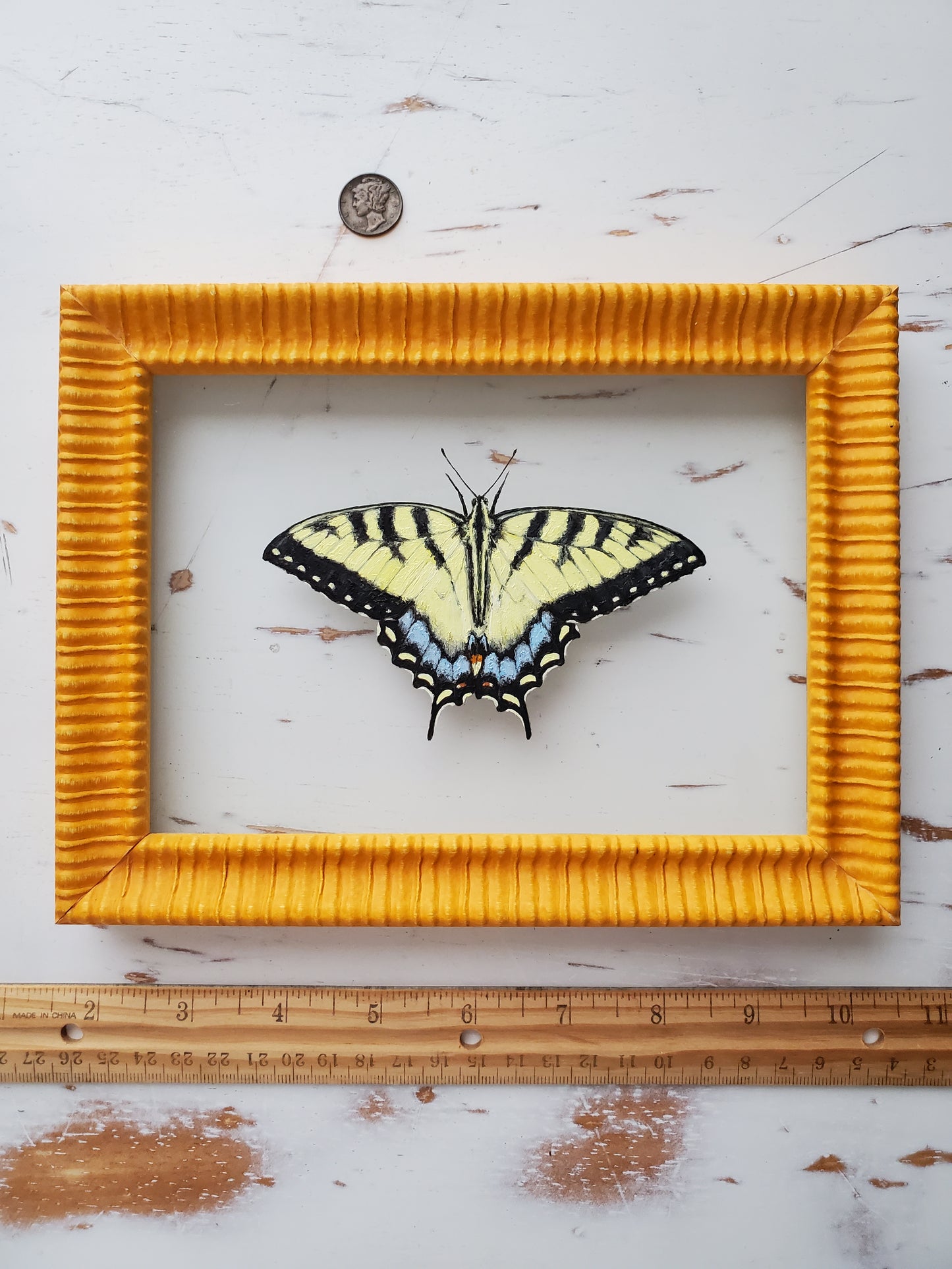 Tiger Swallowtail