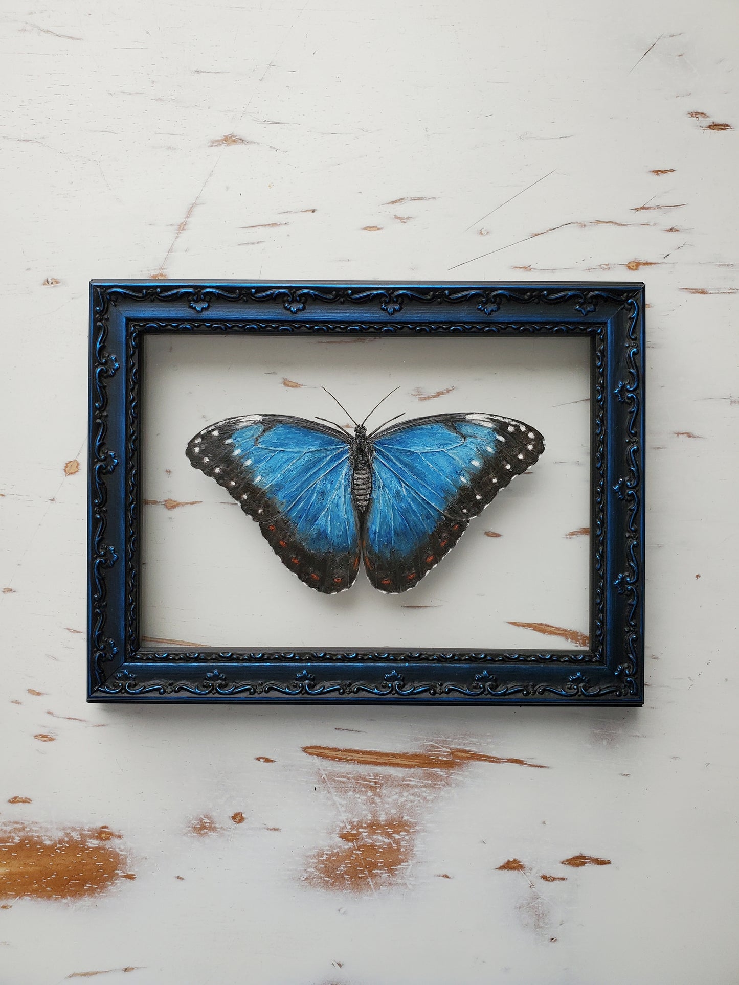 Blue Morpho