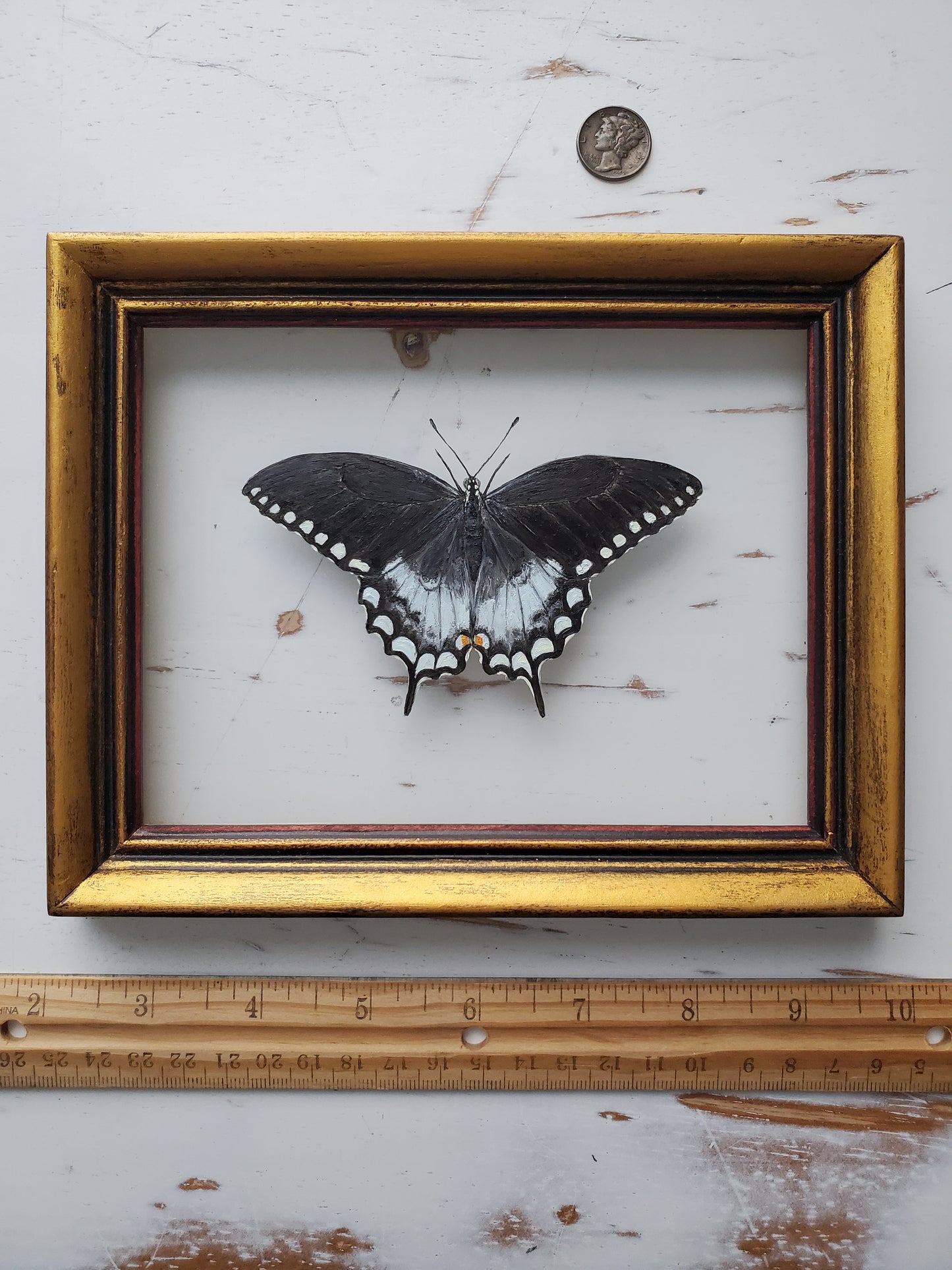 Spicebush Swallowtail