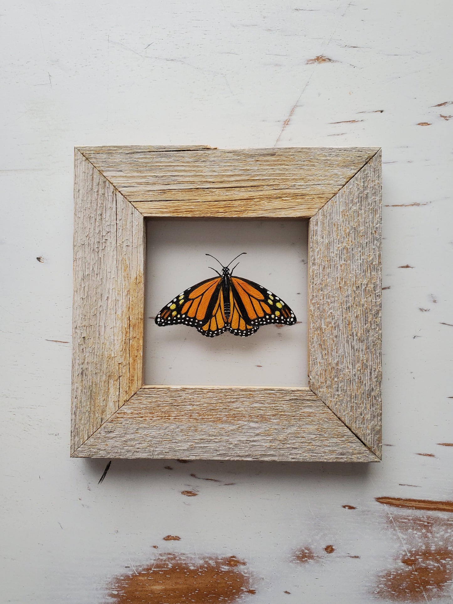 Monarch