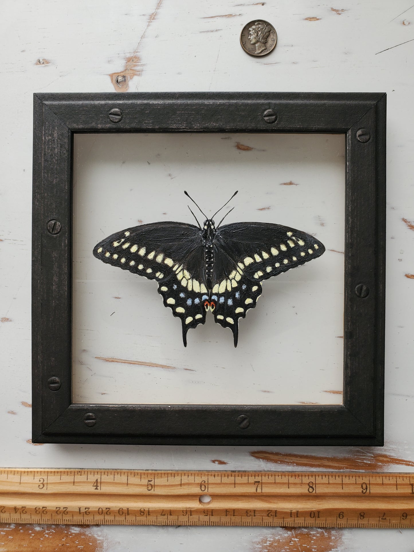 Black Swallowtail