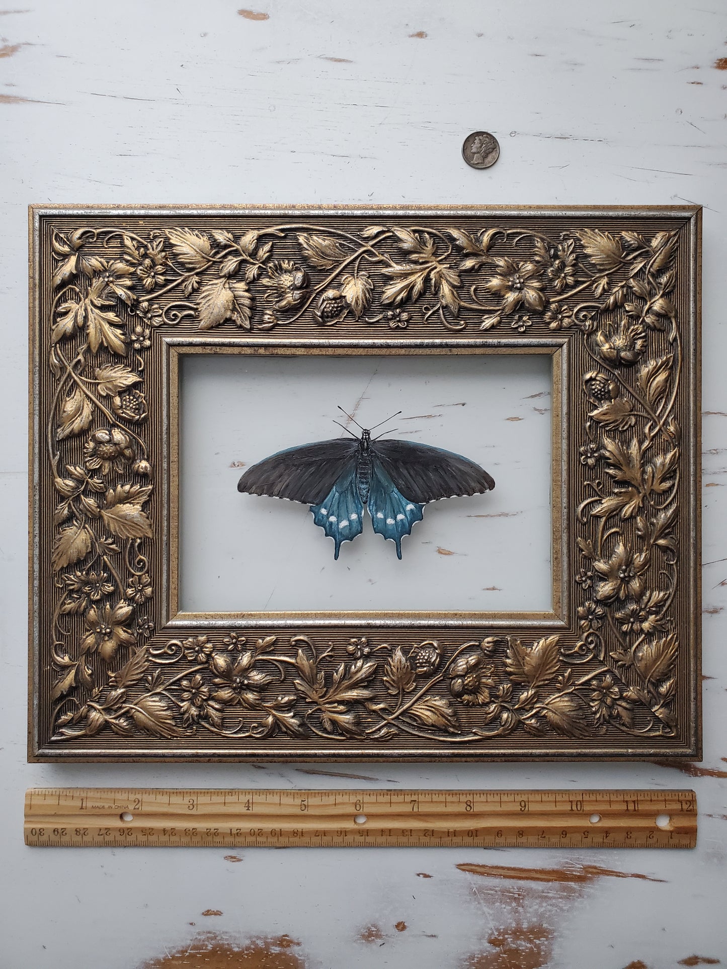 Pipevine Swallowtail