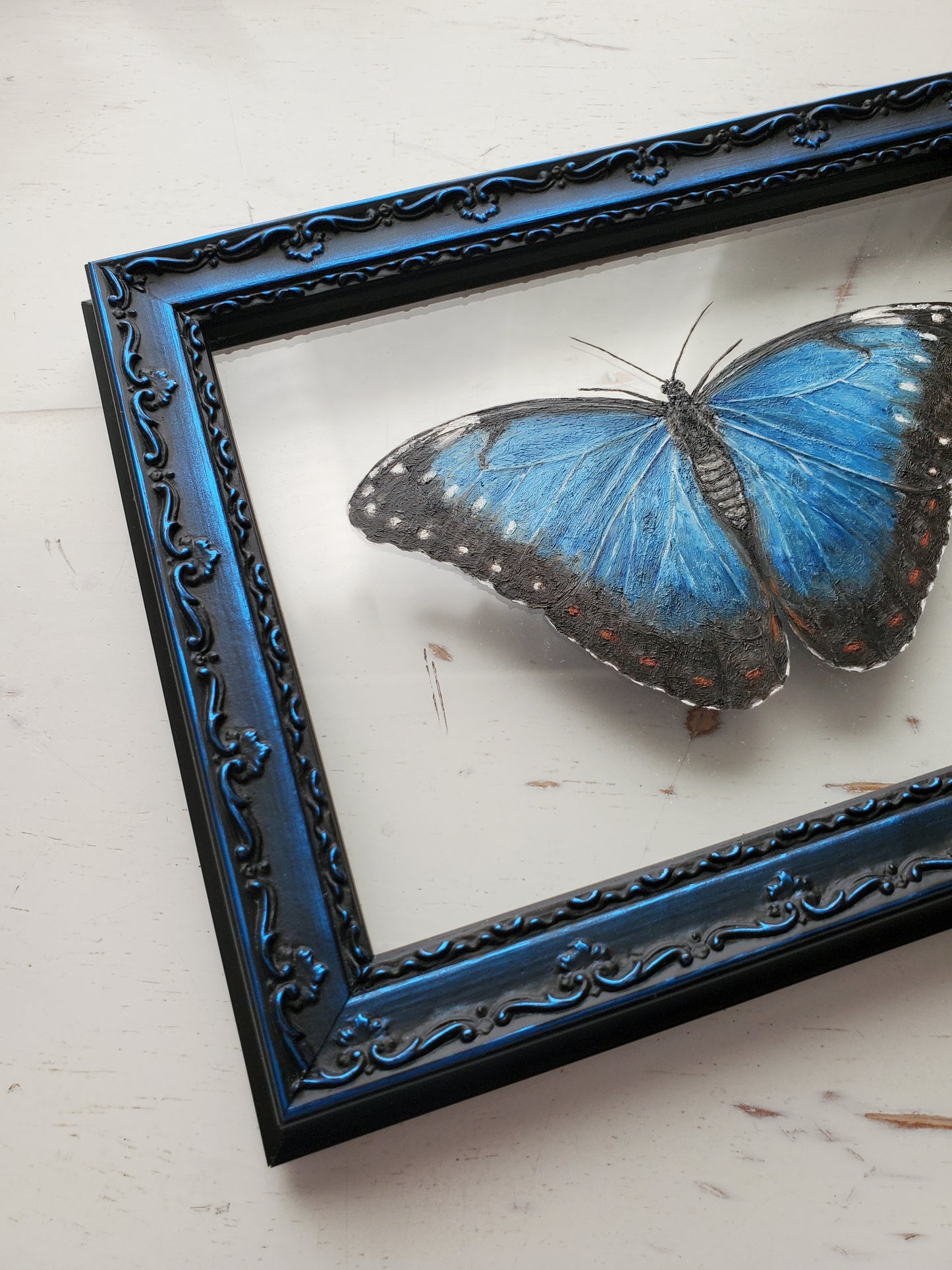 Blue Morpho