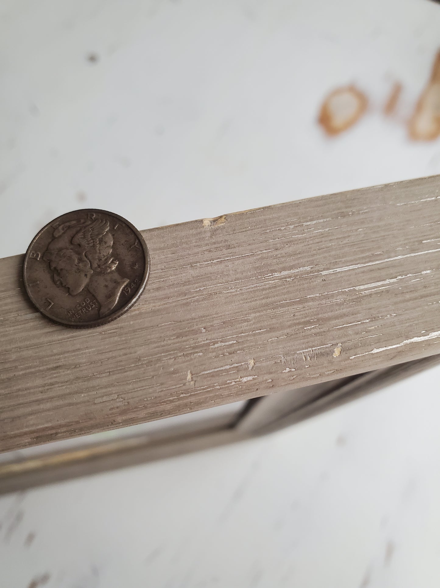 Luna Moth + Polyphemus Moth + Found Photo