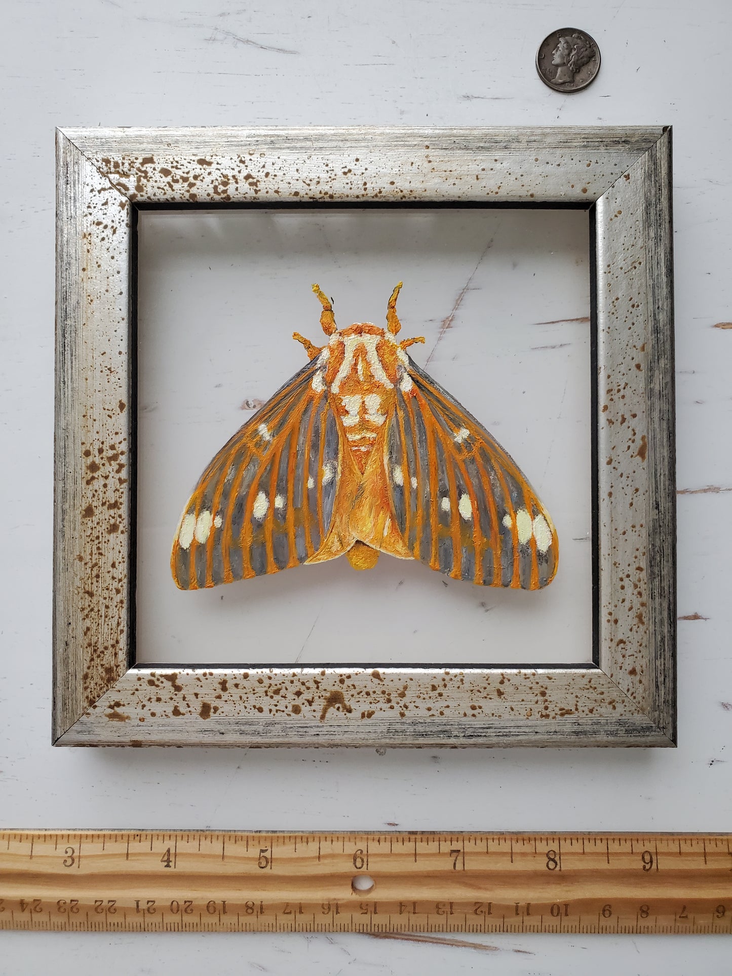 Regal Moth
