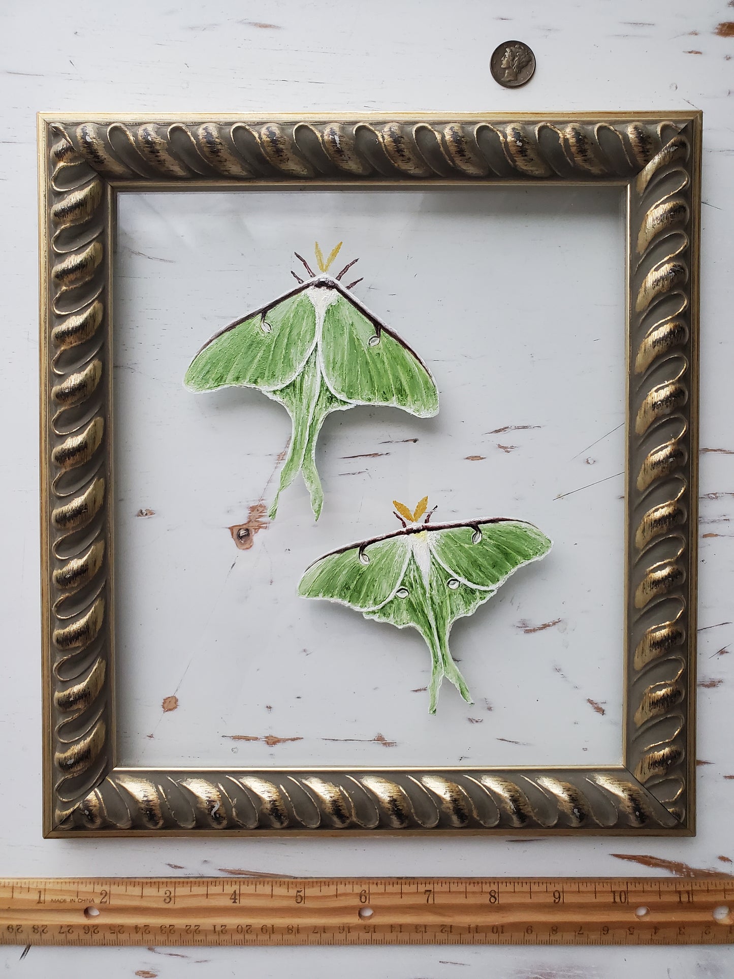 Luna Moths