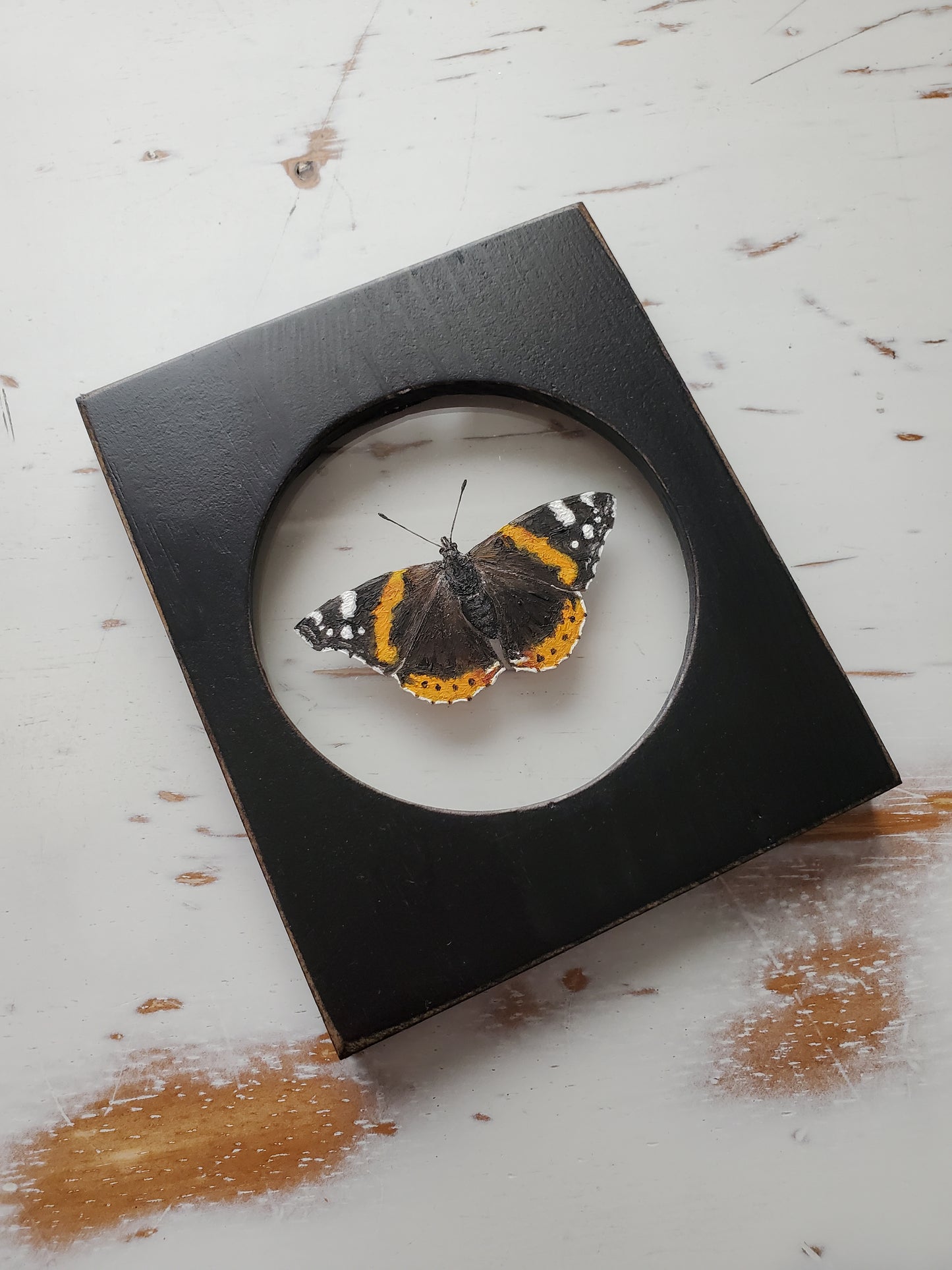 Red Admiral
