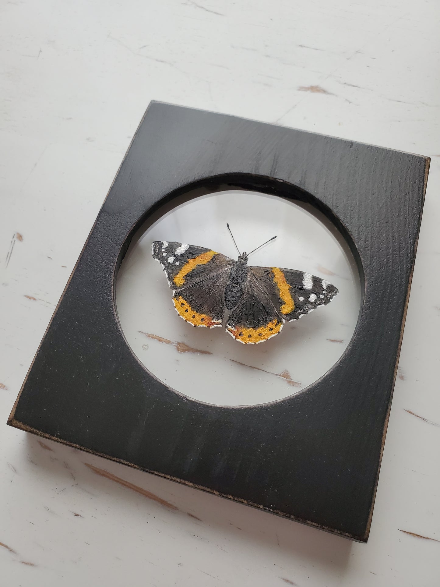 Red Admiral