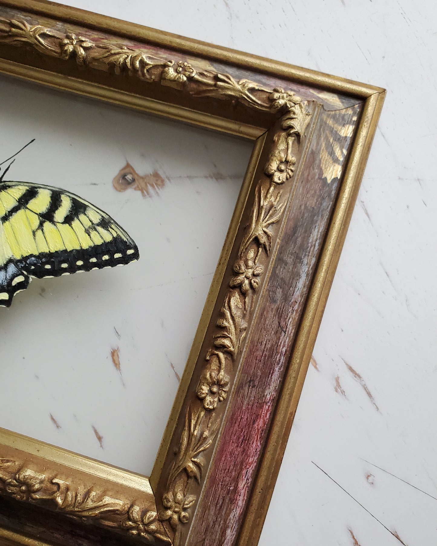Tiger Swallowtail