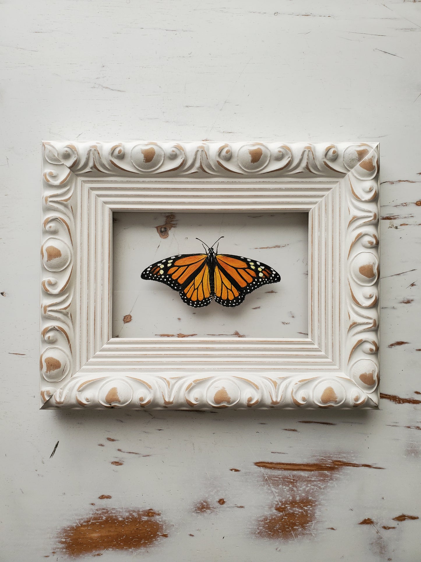Monarch