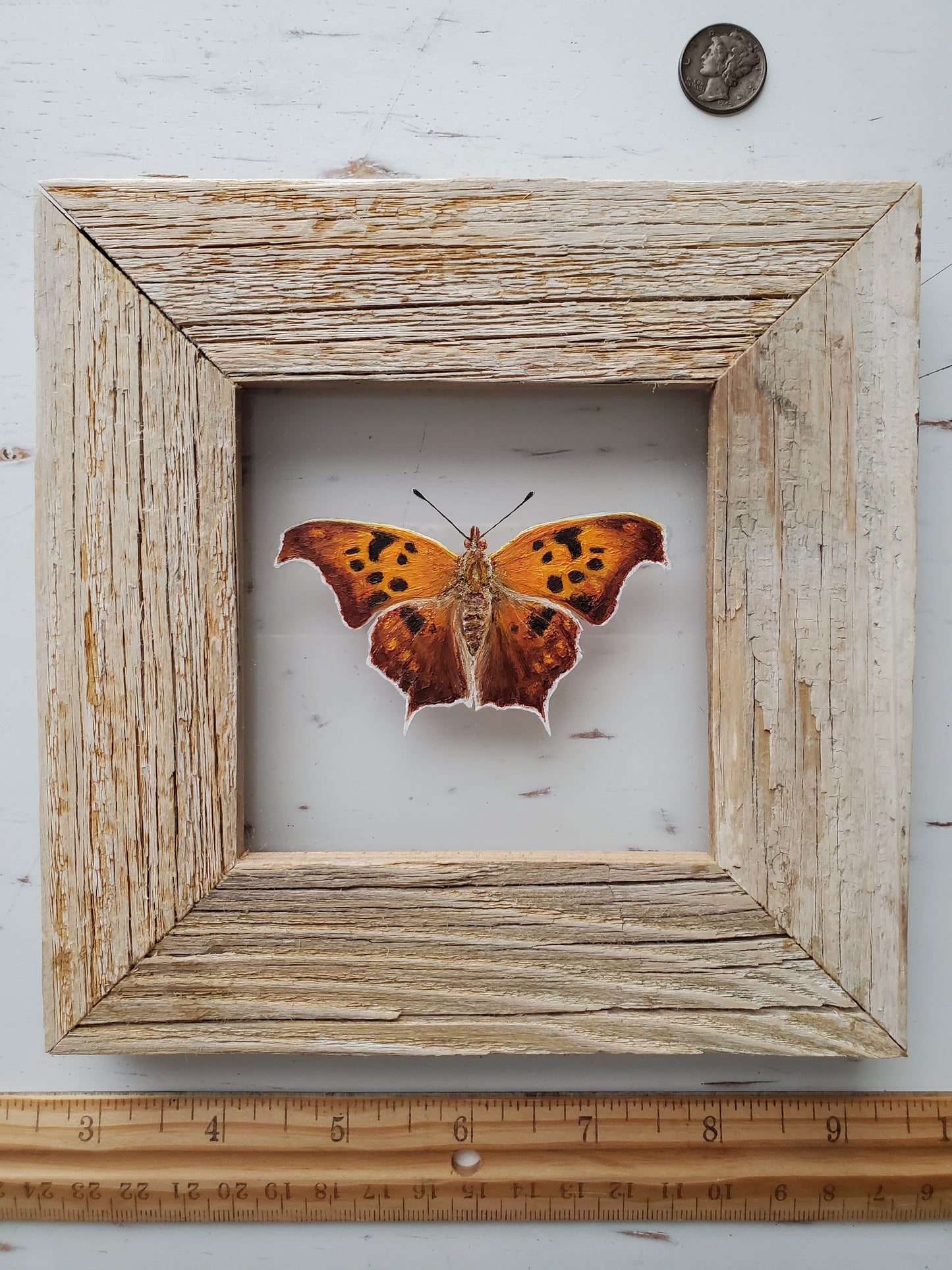 Question Mark Butterfly