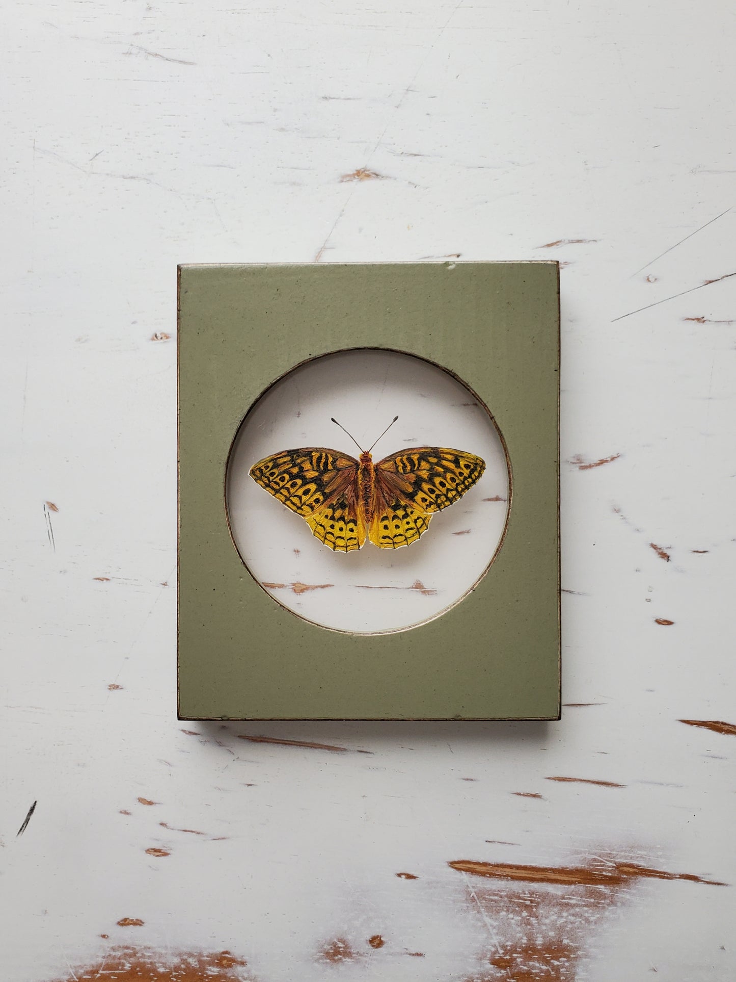Great Spangled Fritillary