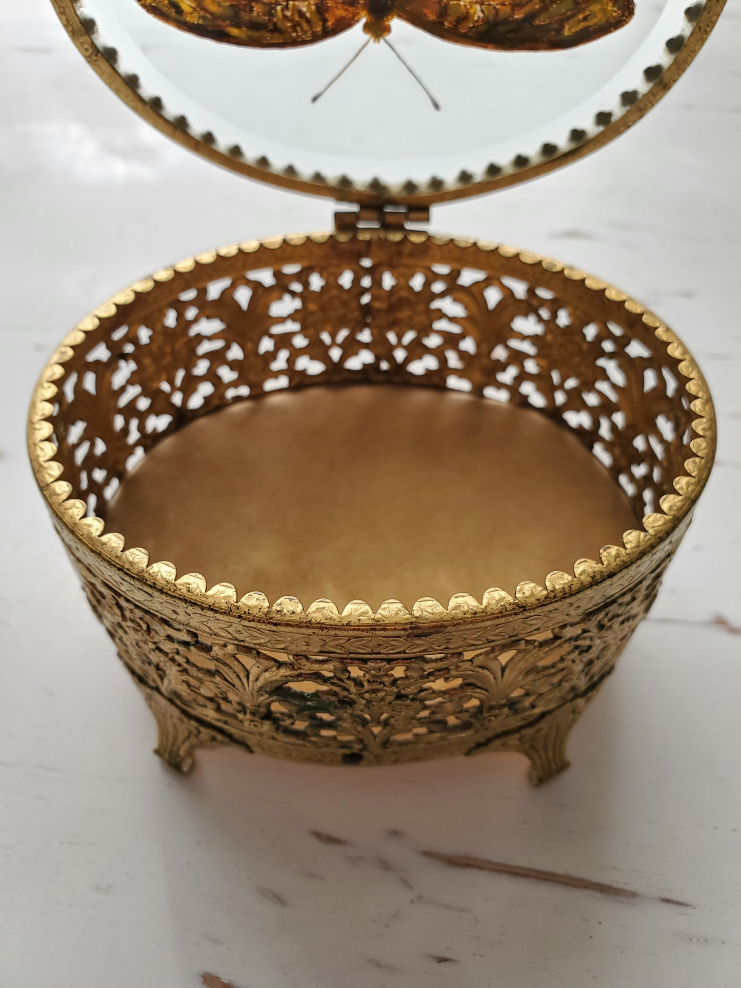 Great Spangled Fritillary + Trinket Box