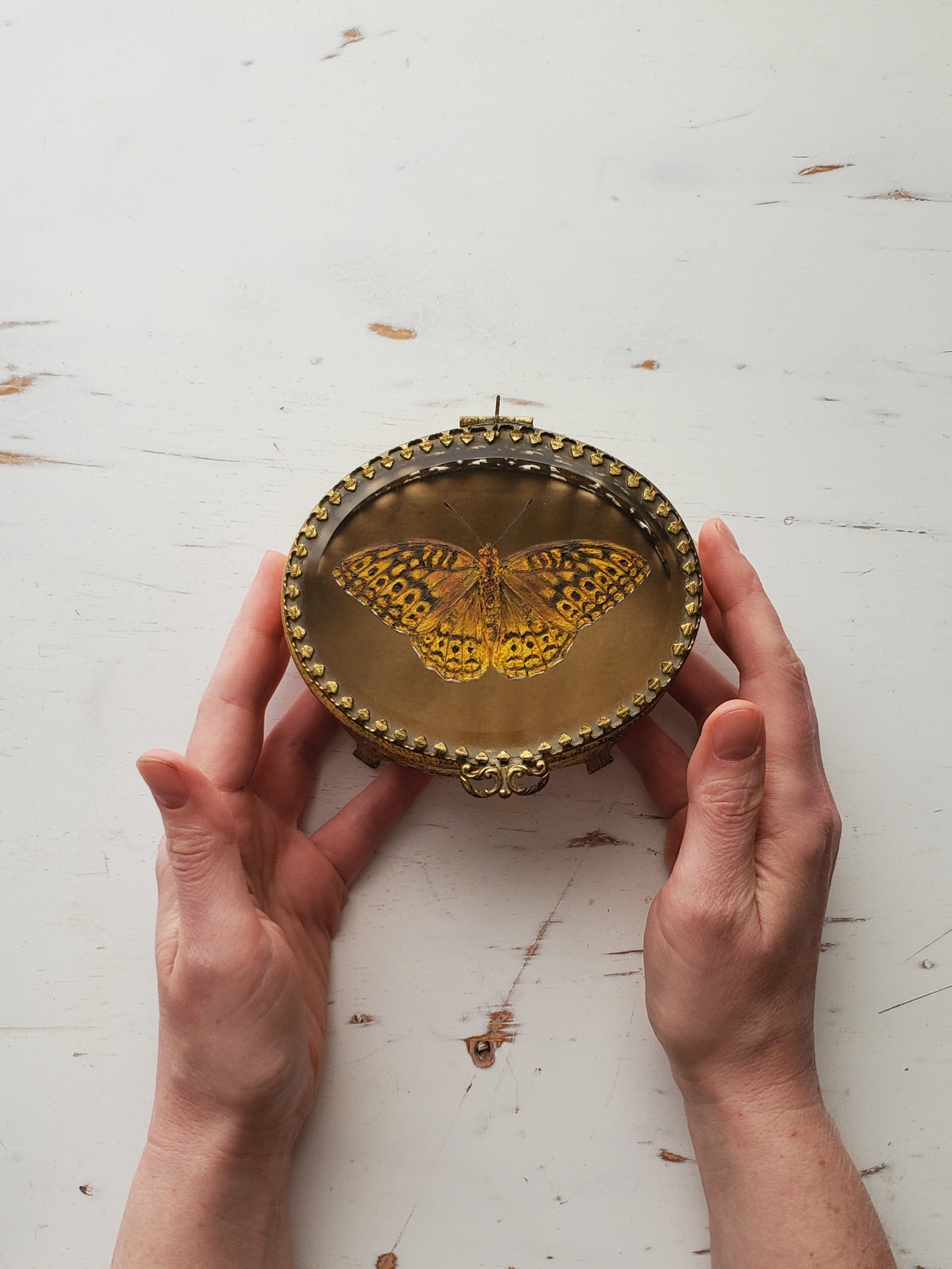 Great Spangled Fritillary + Trinket Box