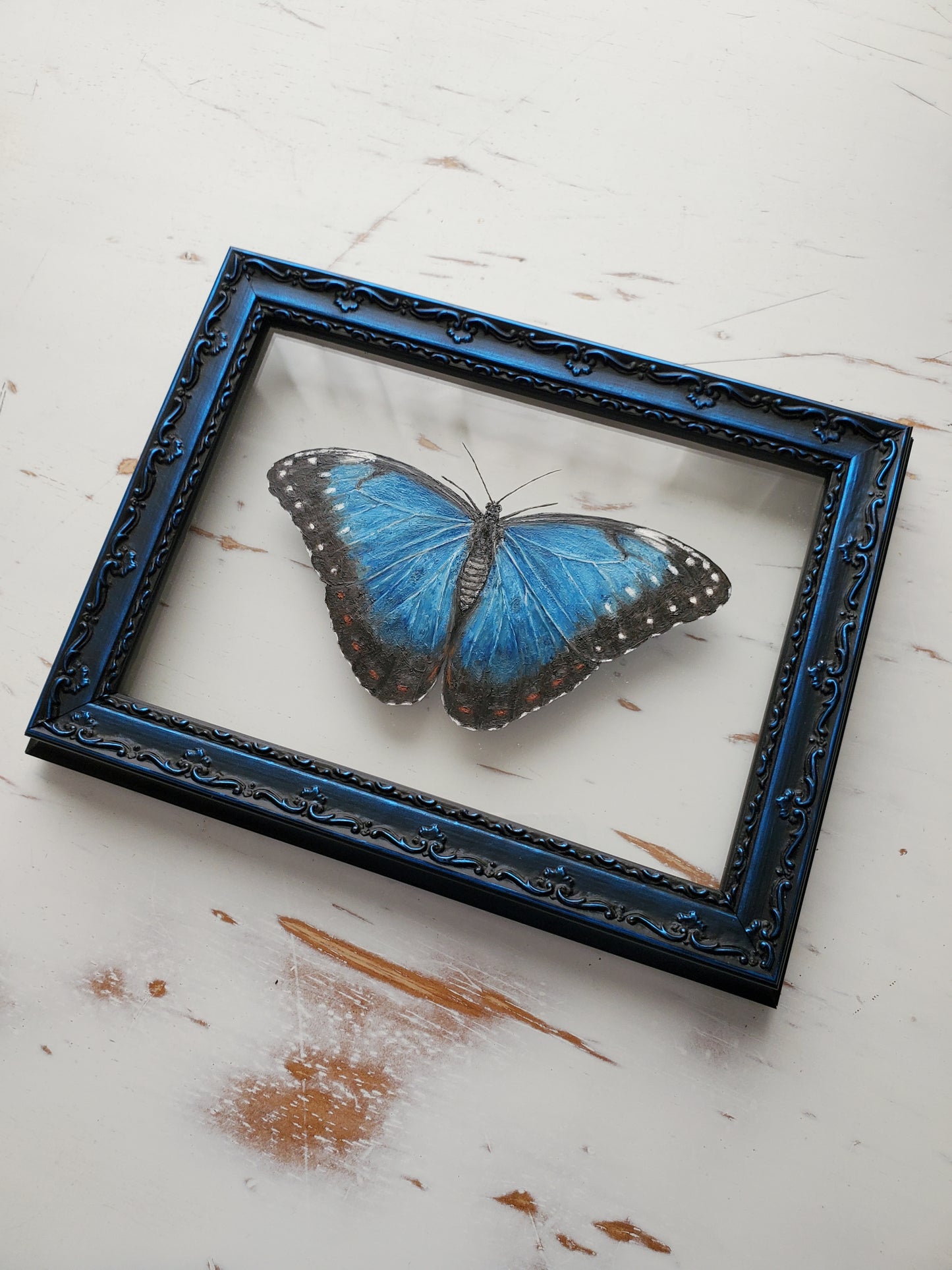 Blue Morpho
