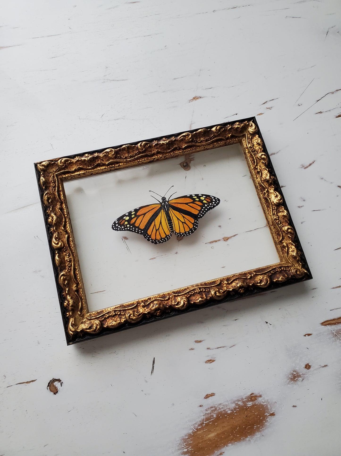 Monarch
