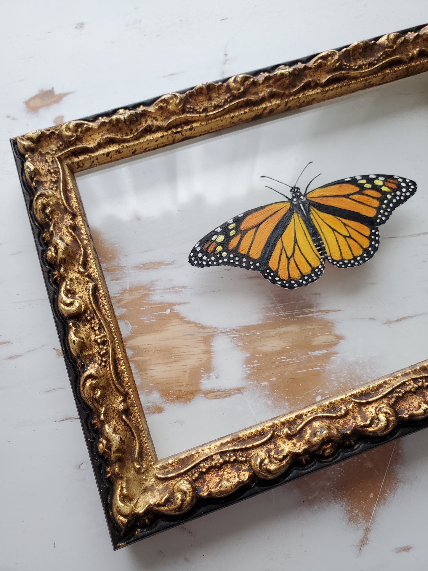 Monarch