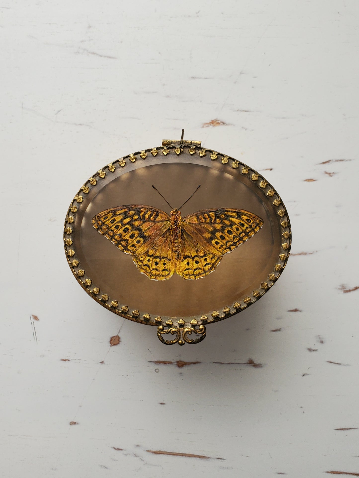 Great Spangled Fritillary + Trinket Box