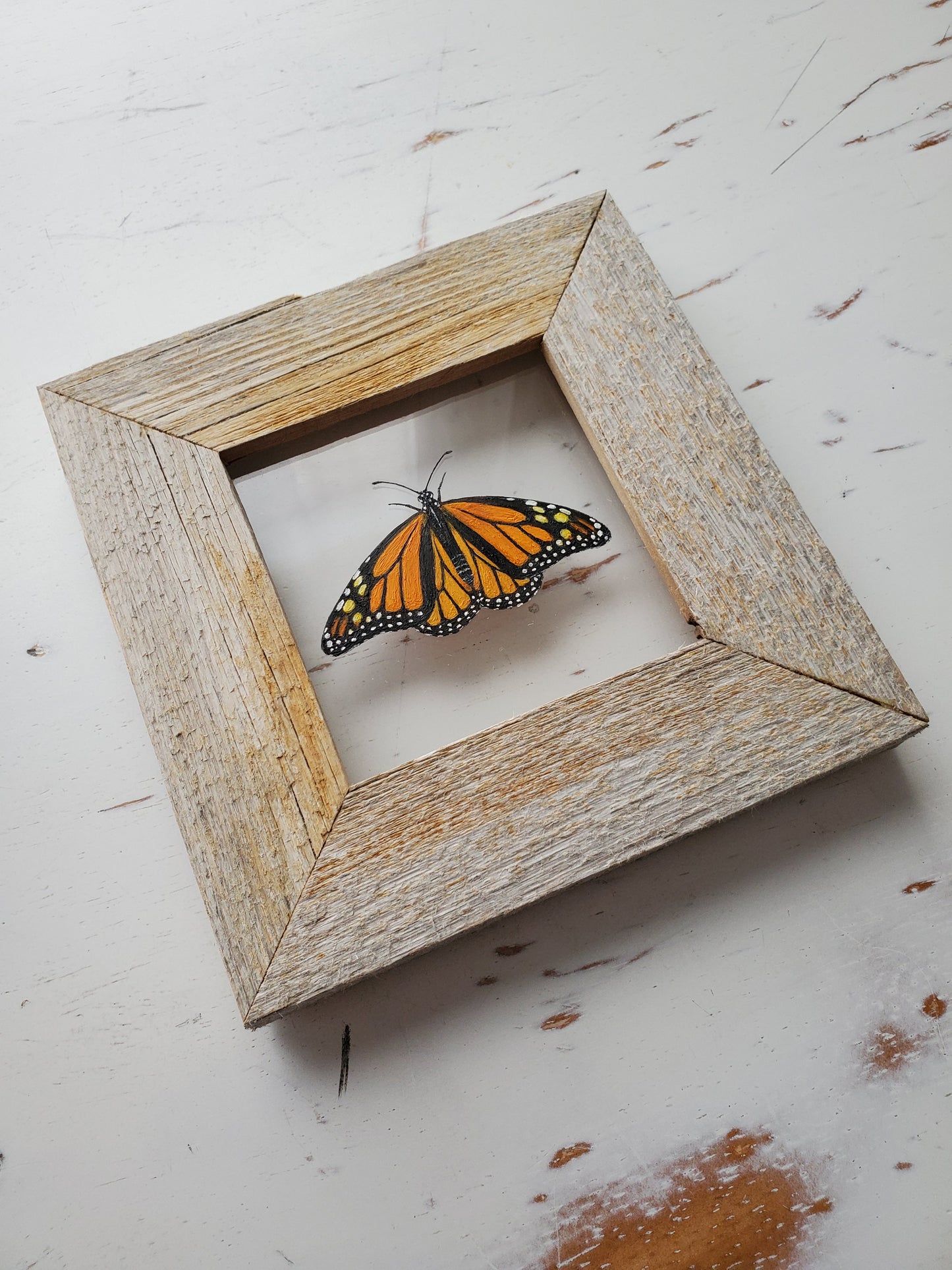Monarch