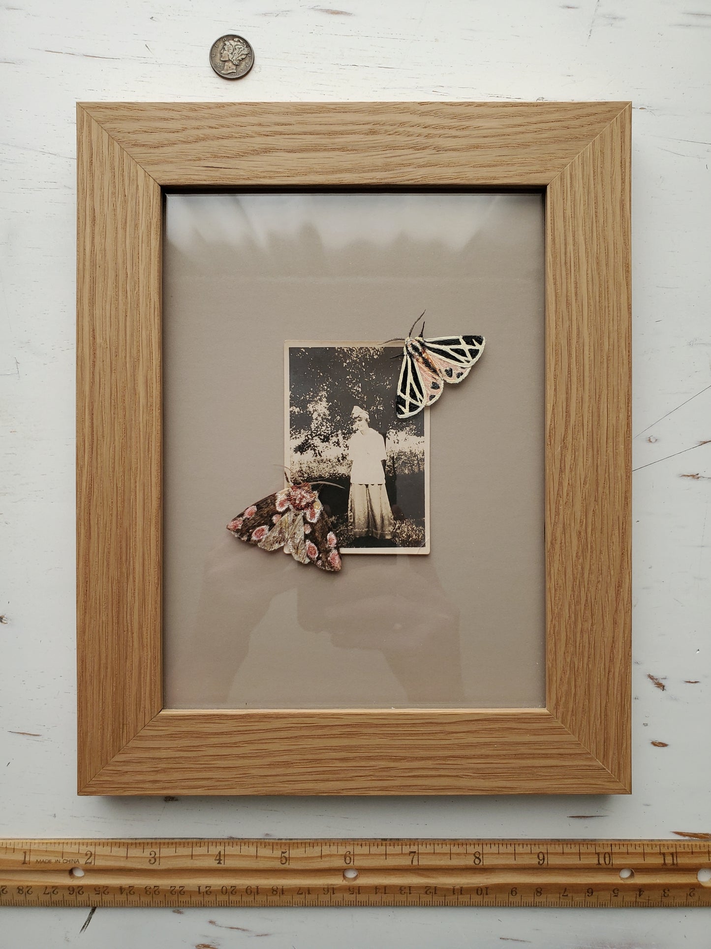 Harnessed Tiger Moth + Peach Blossom Moth + Found Photo