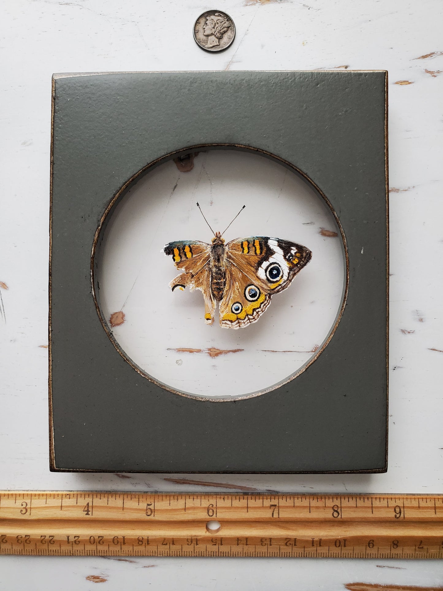 Common Buckeye