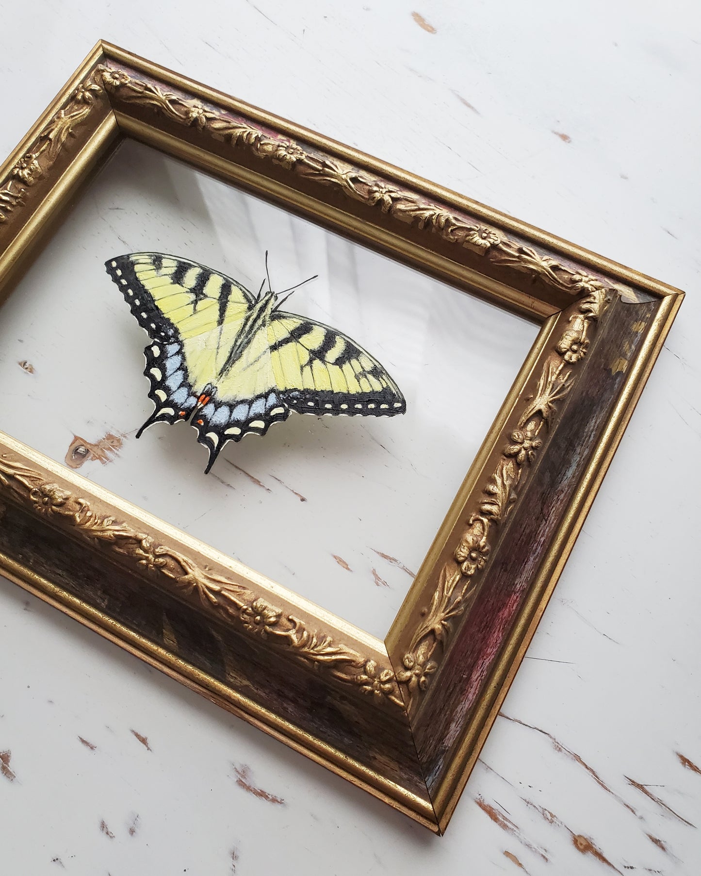 Tiger Swallowtail