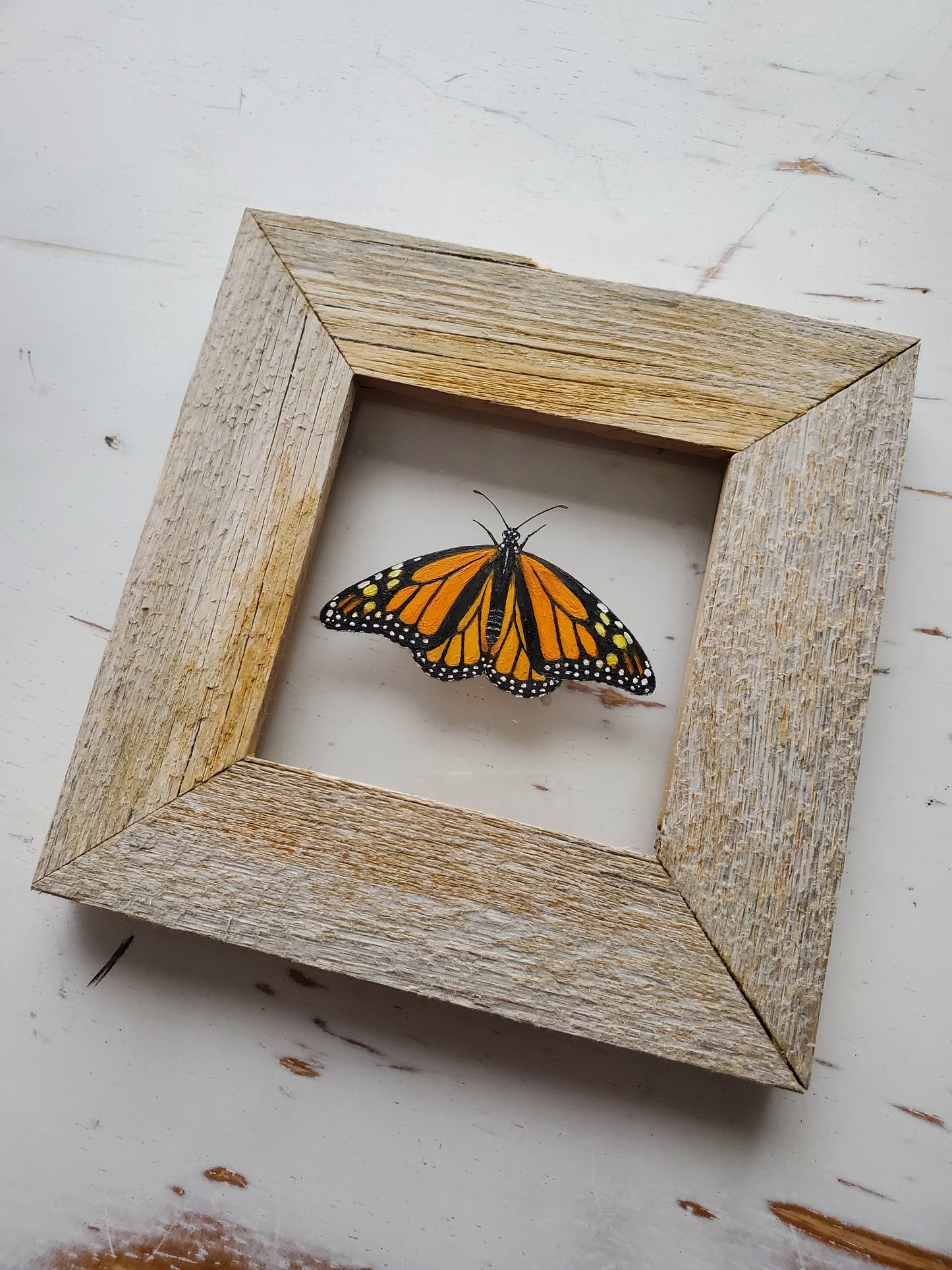 Monarch