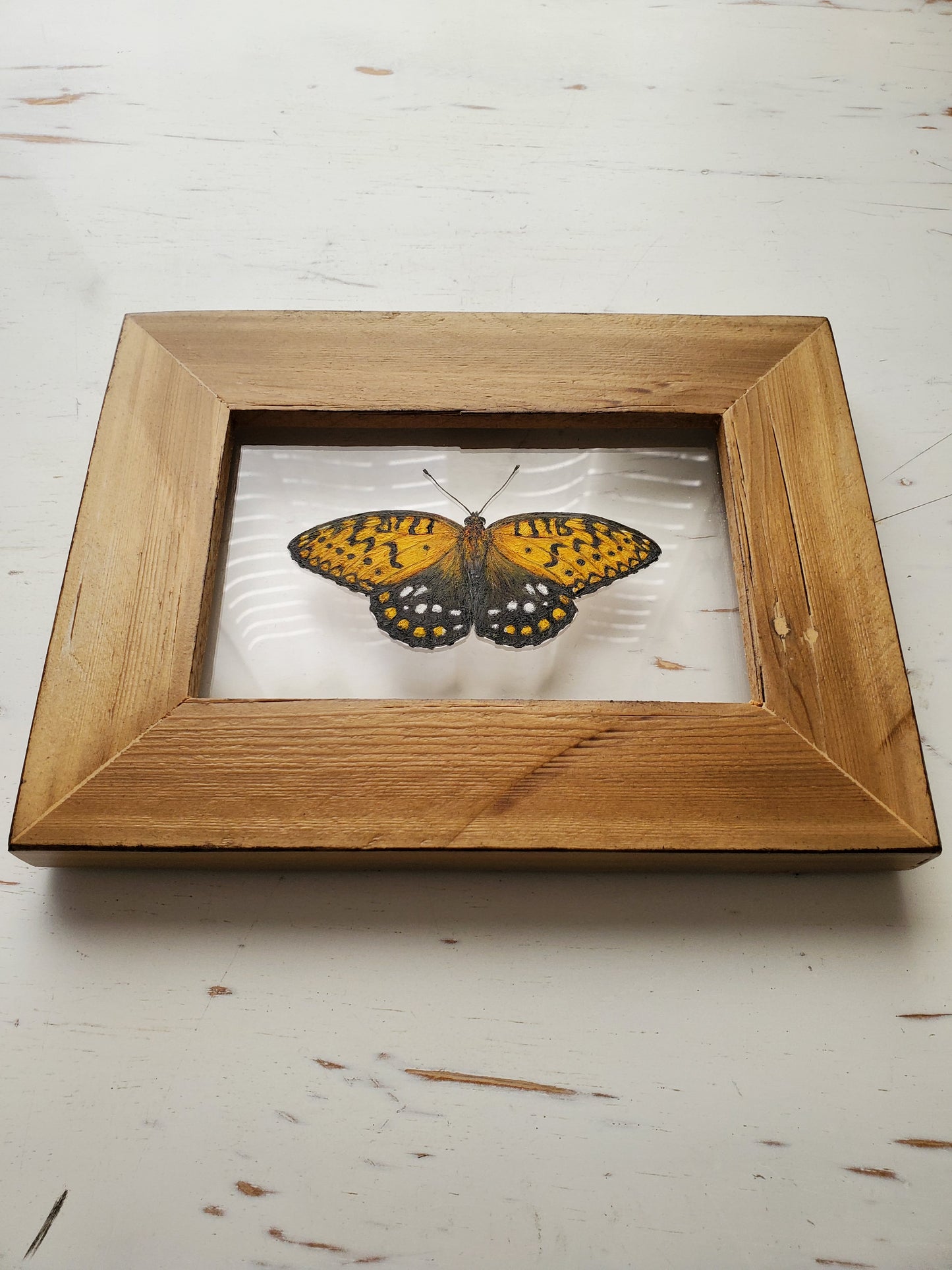 Regal Fritillary