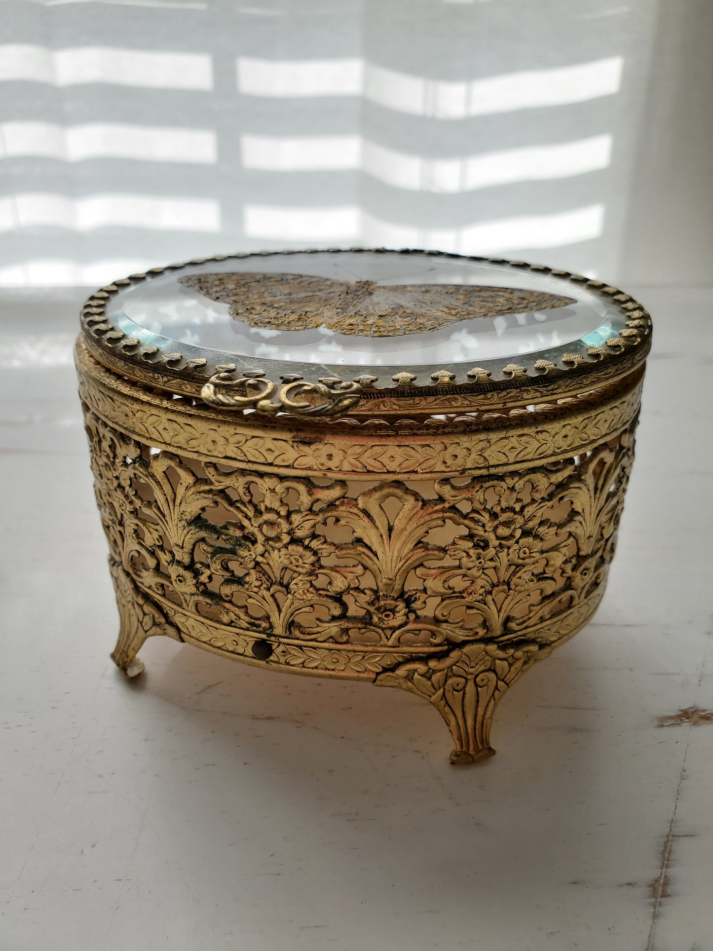 Great Spangled Fritillary + Trinket Box