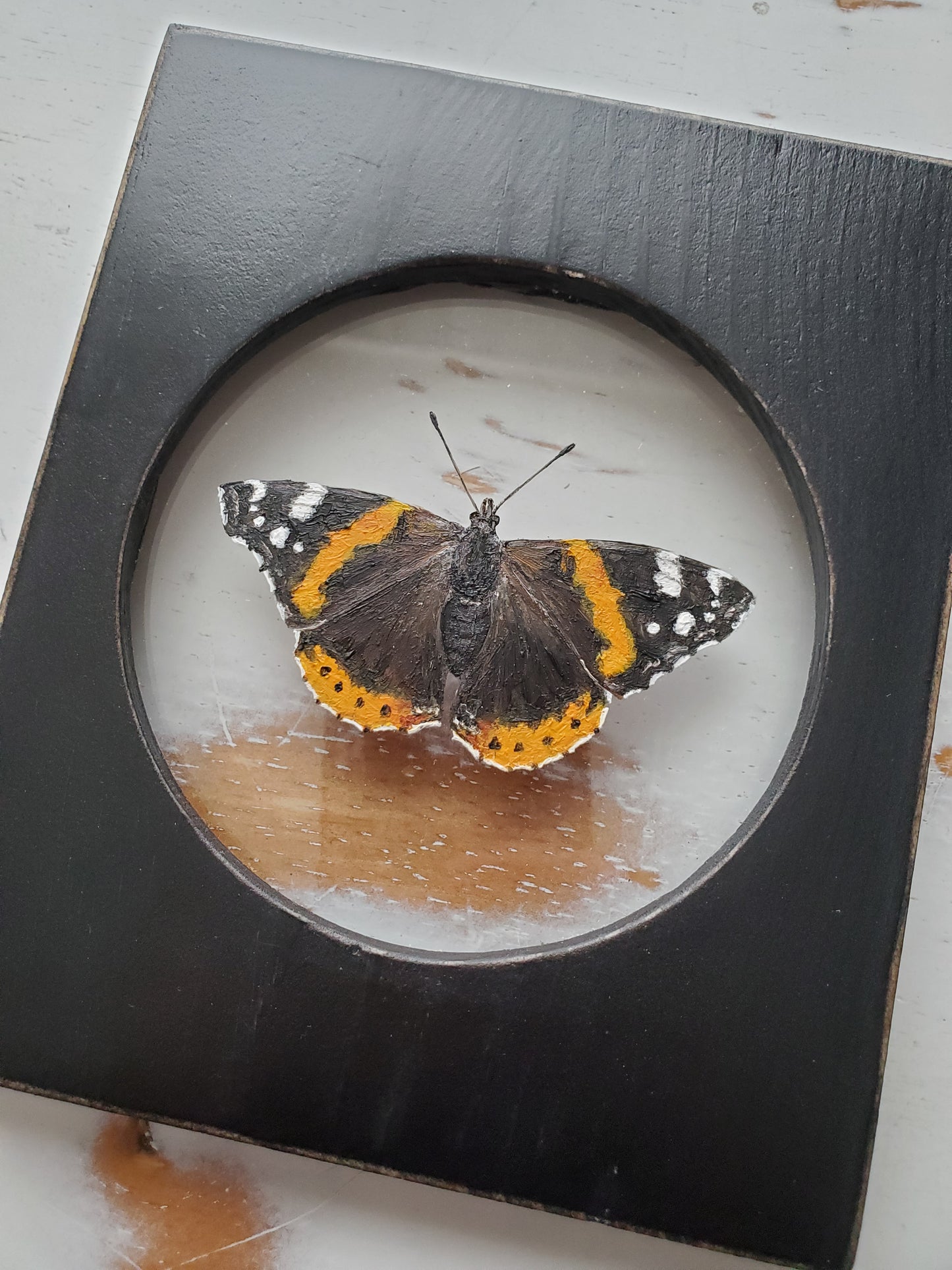 Red Admiral
