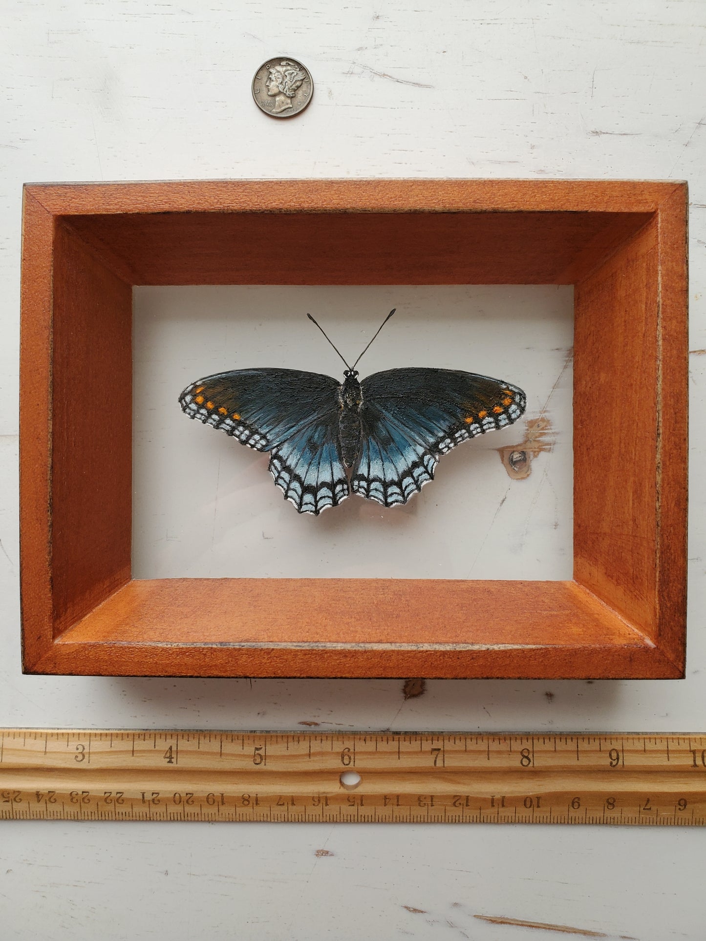 Red-spotted Purple