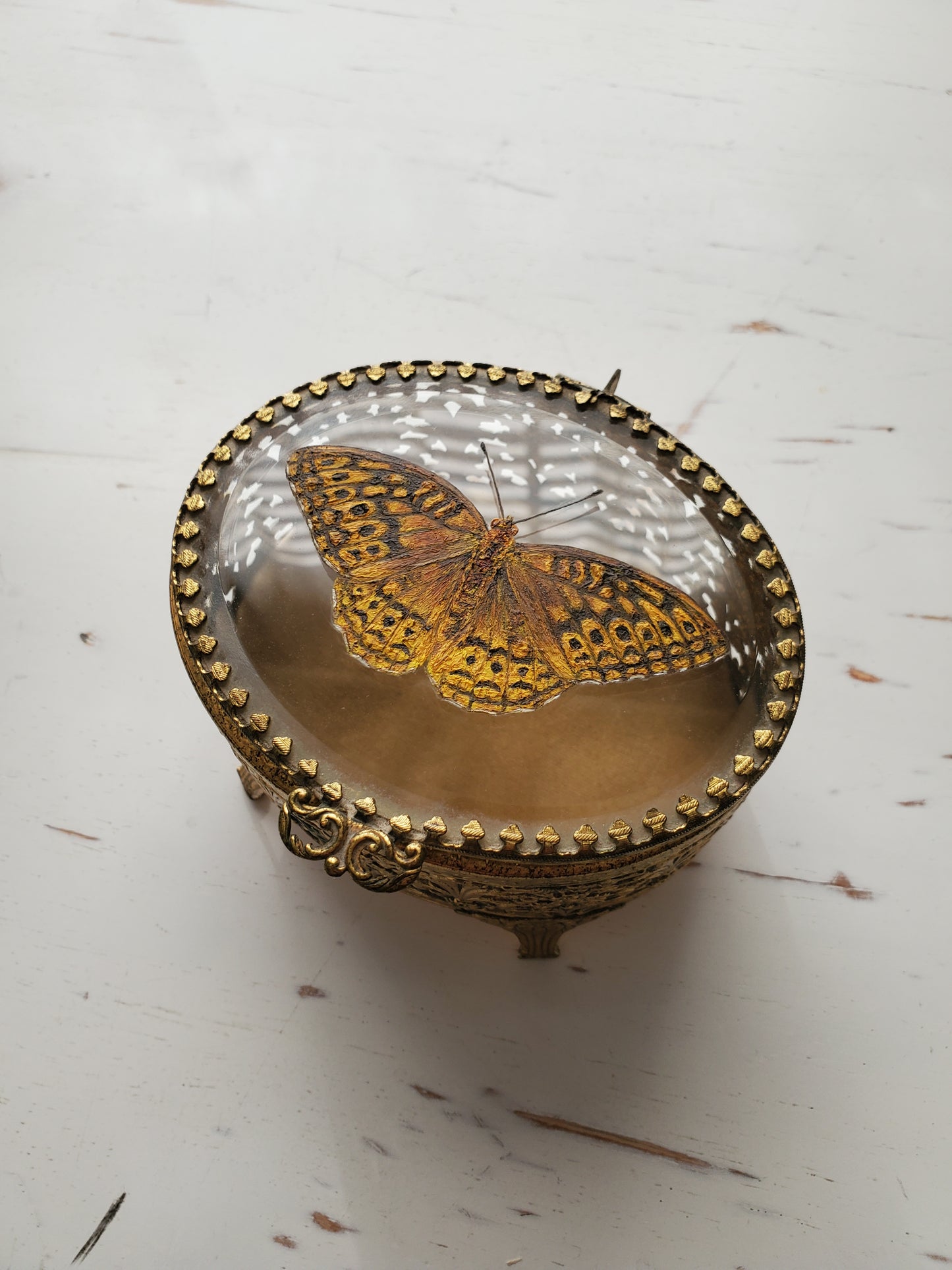 Great Spangled Fritillary + Trinket Box