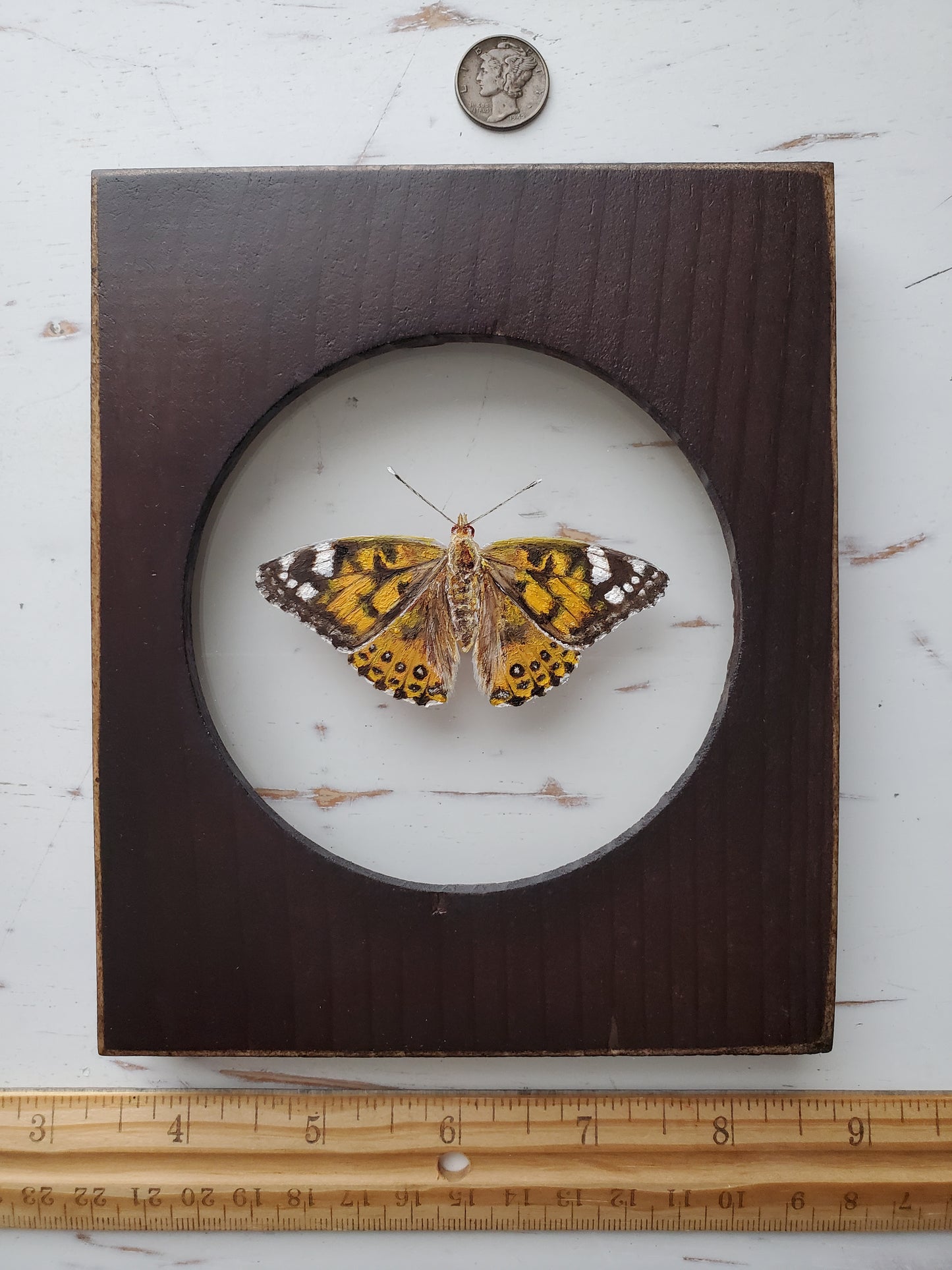 Painted Lady