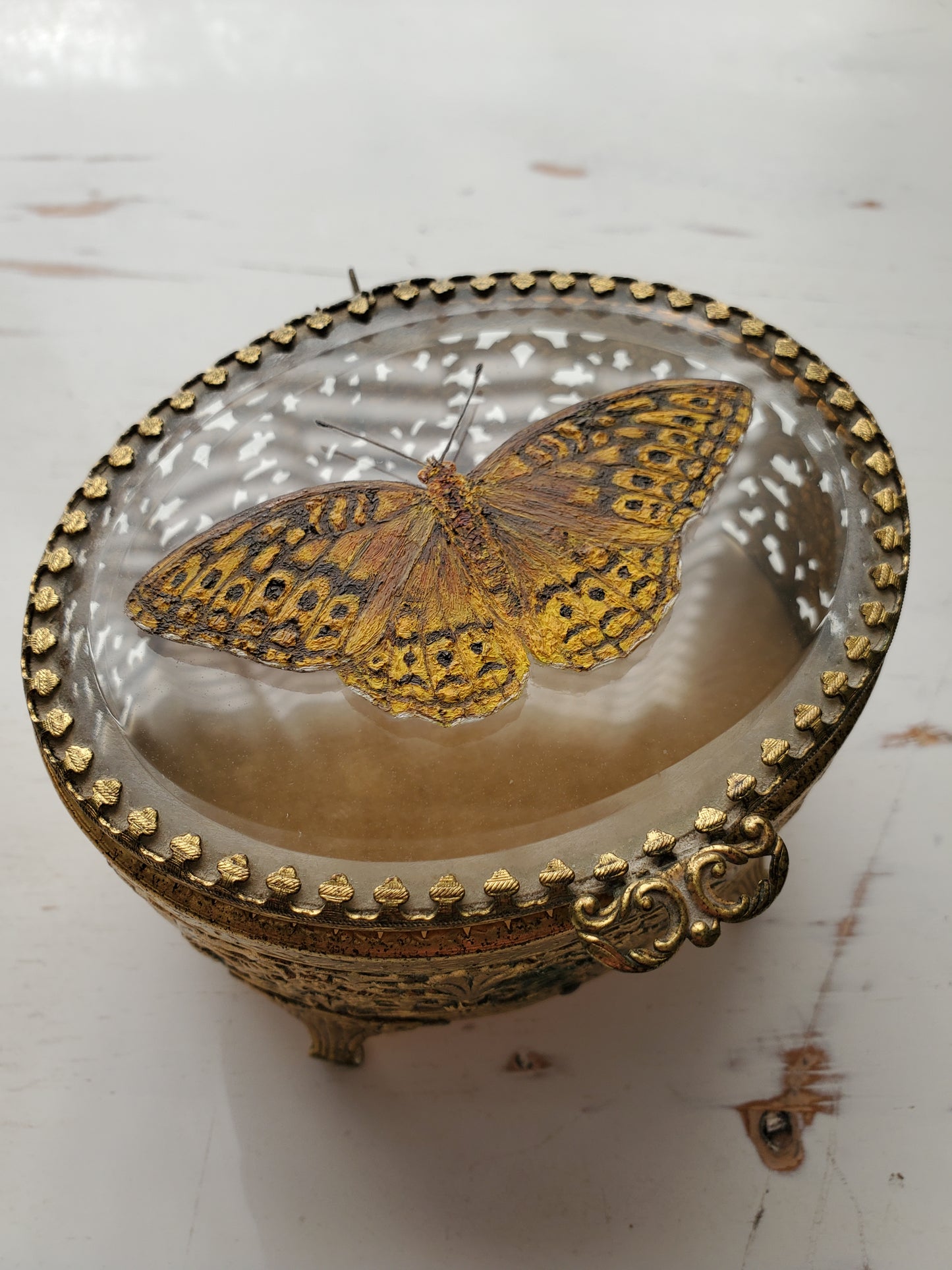 Great Spangled Fritillary + Trinket Box