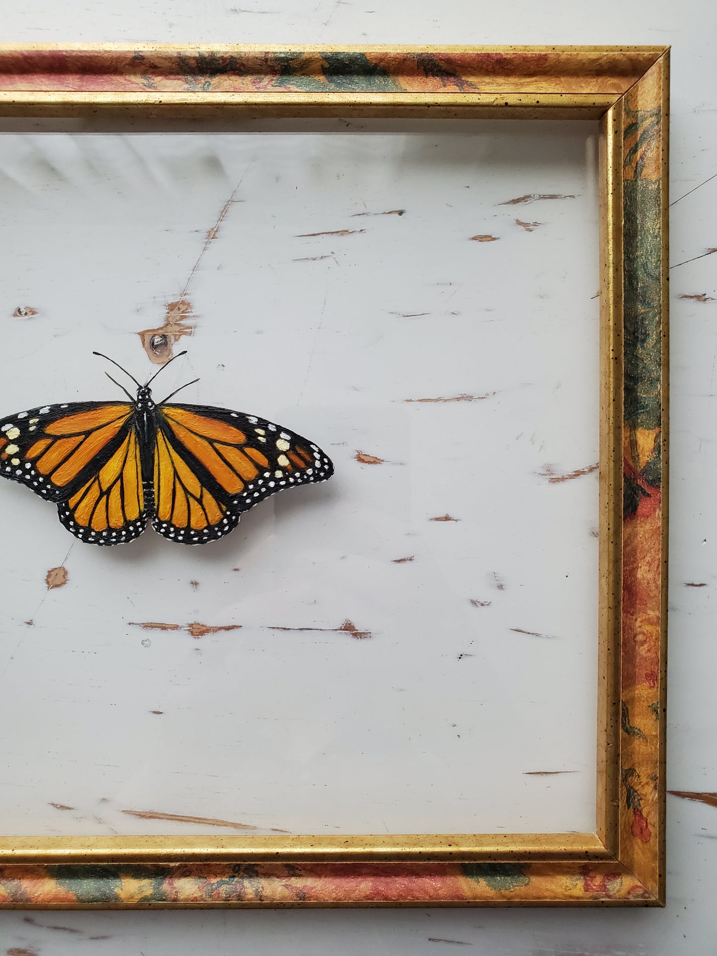 Monarch