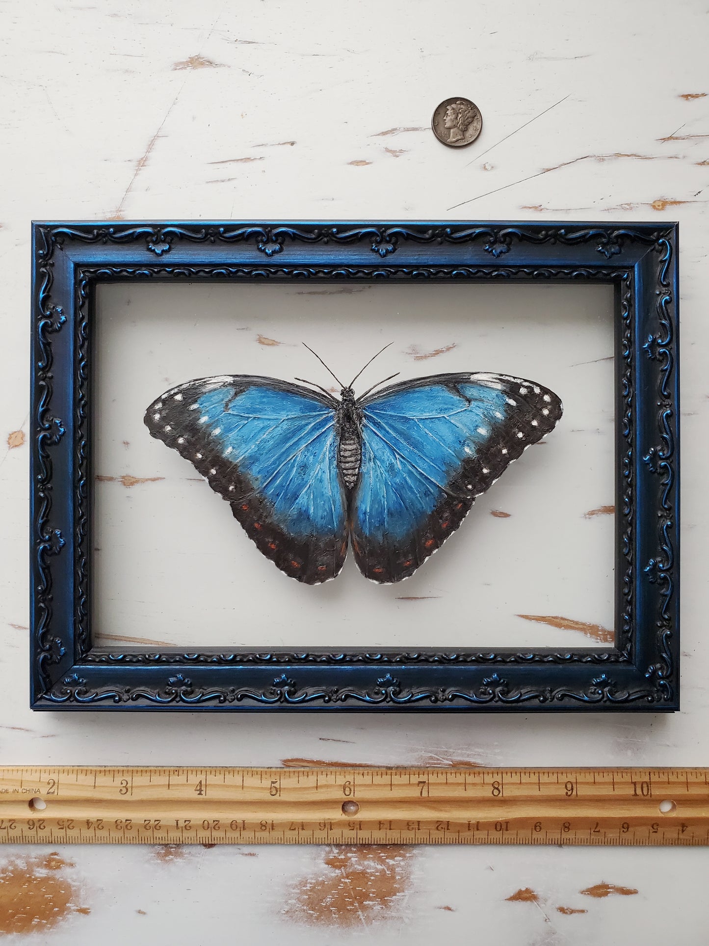 Blue Morpho