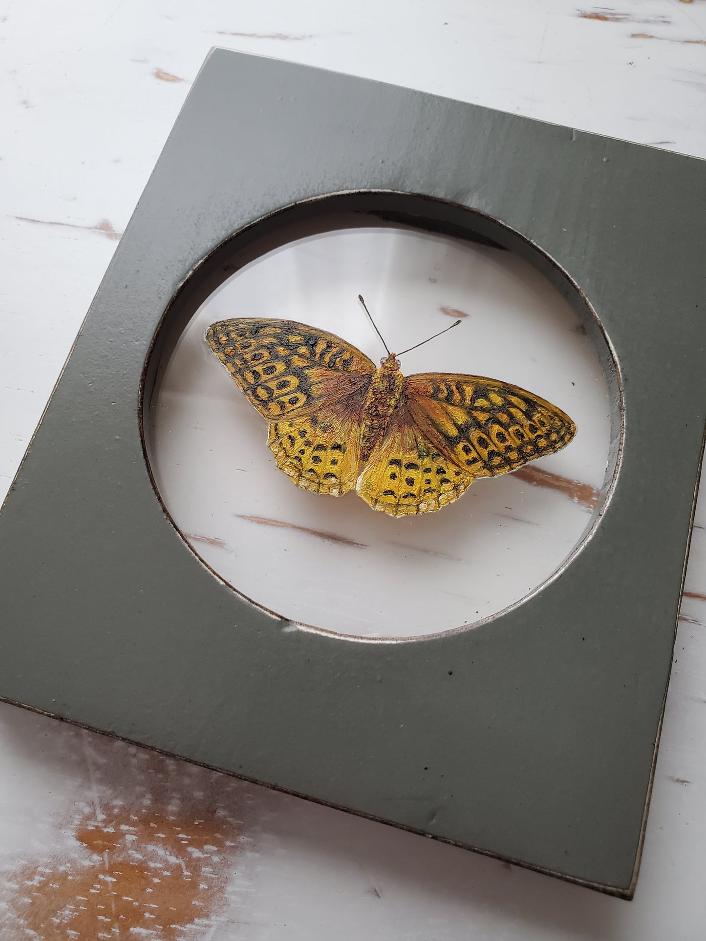 Great Spangled Fritillary