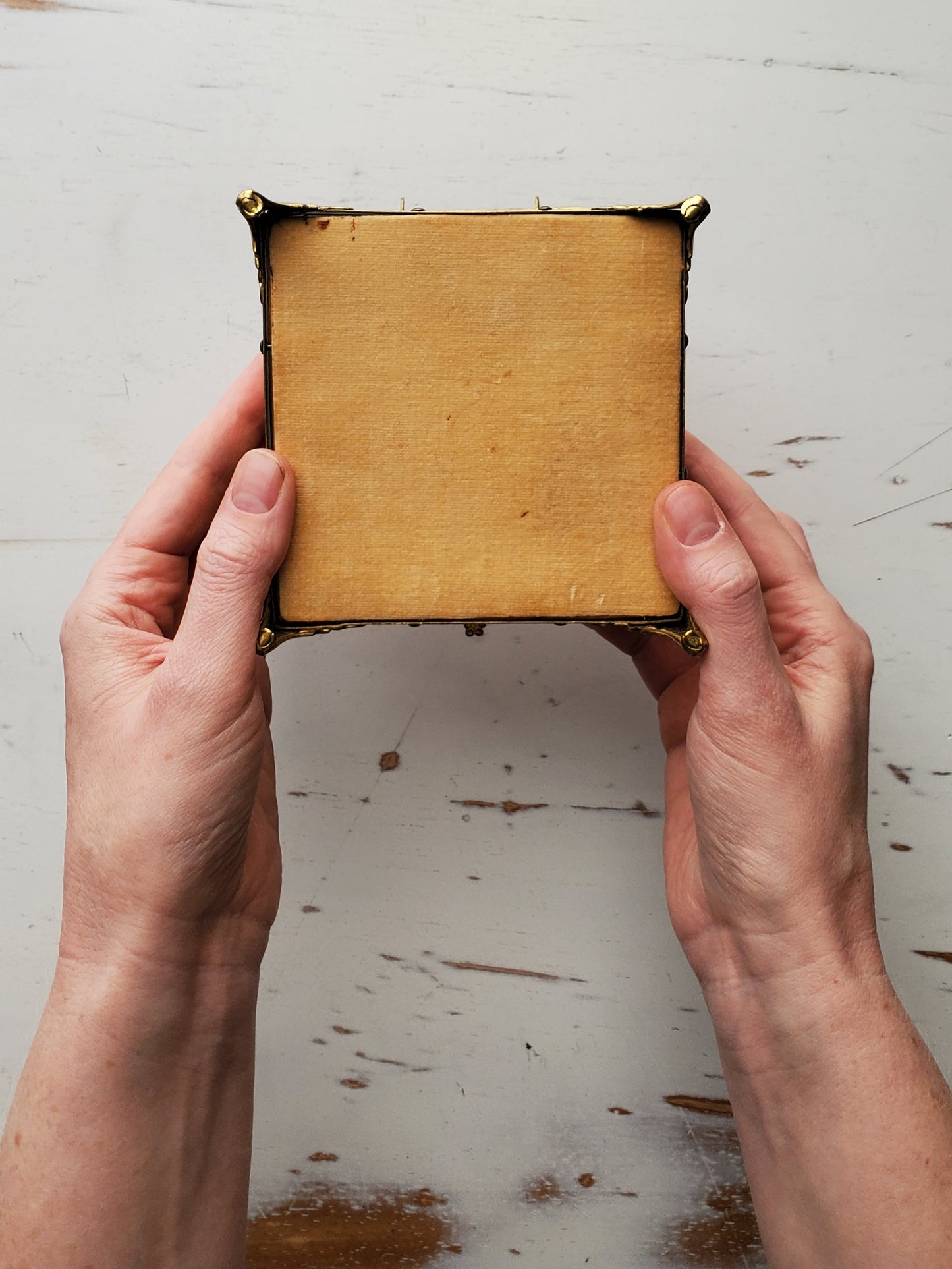 Common Buckeye + Trinket Box