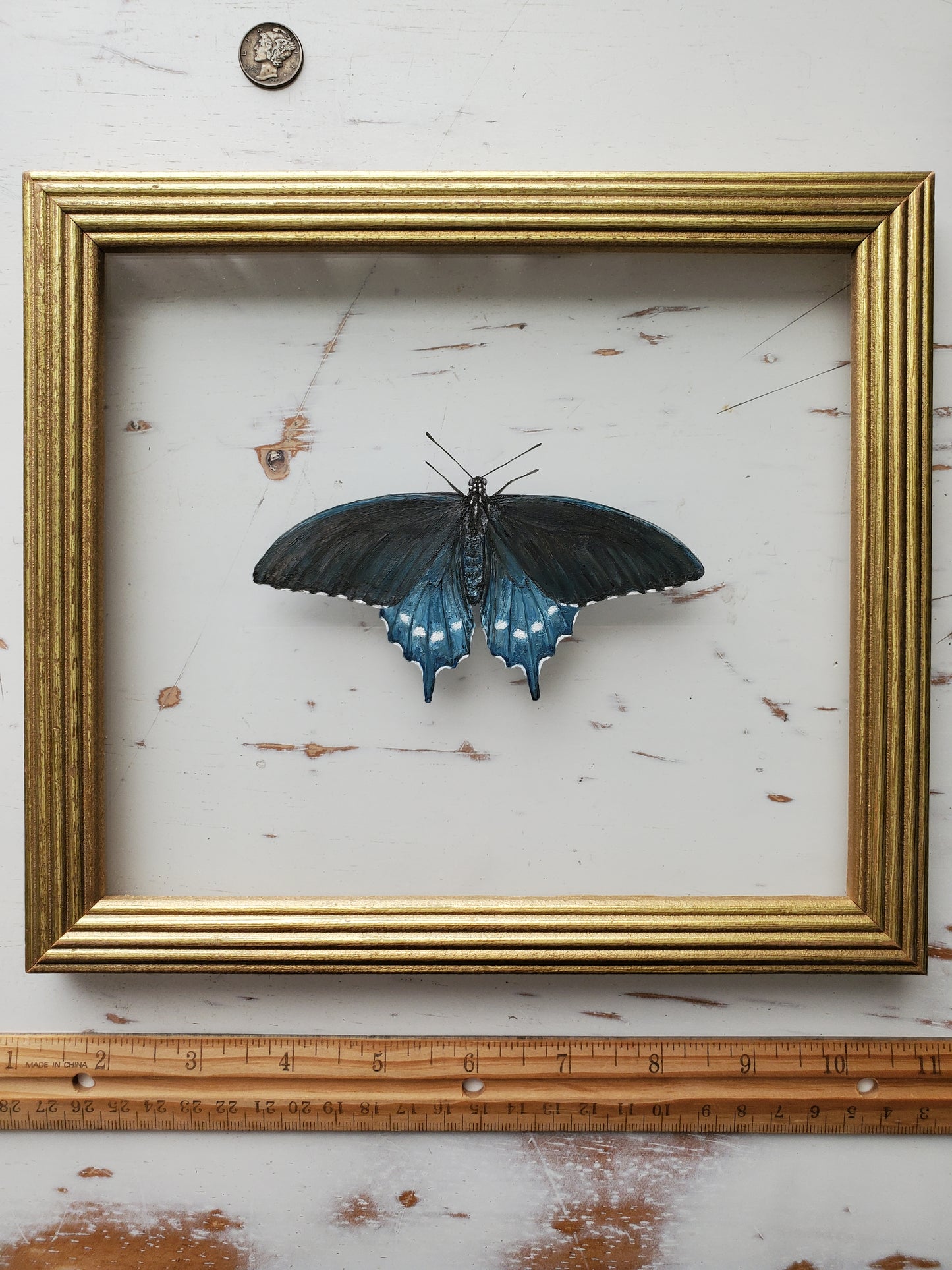 Pipevine Swallowtail