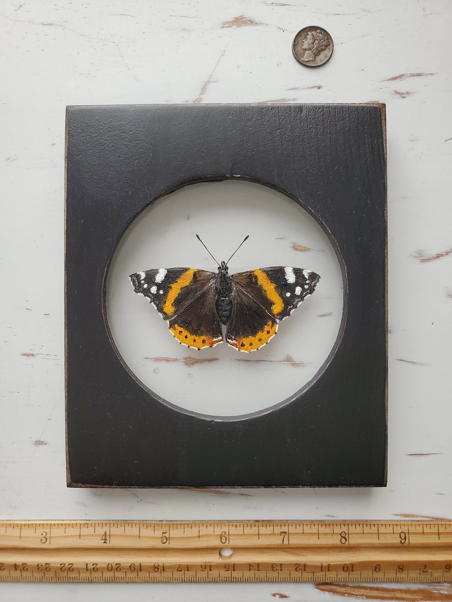 Red Admiral