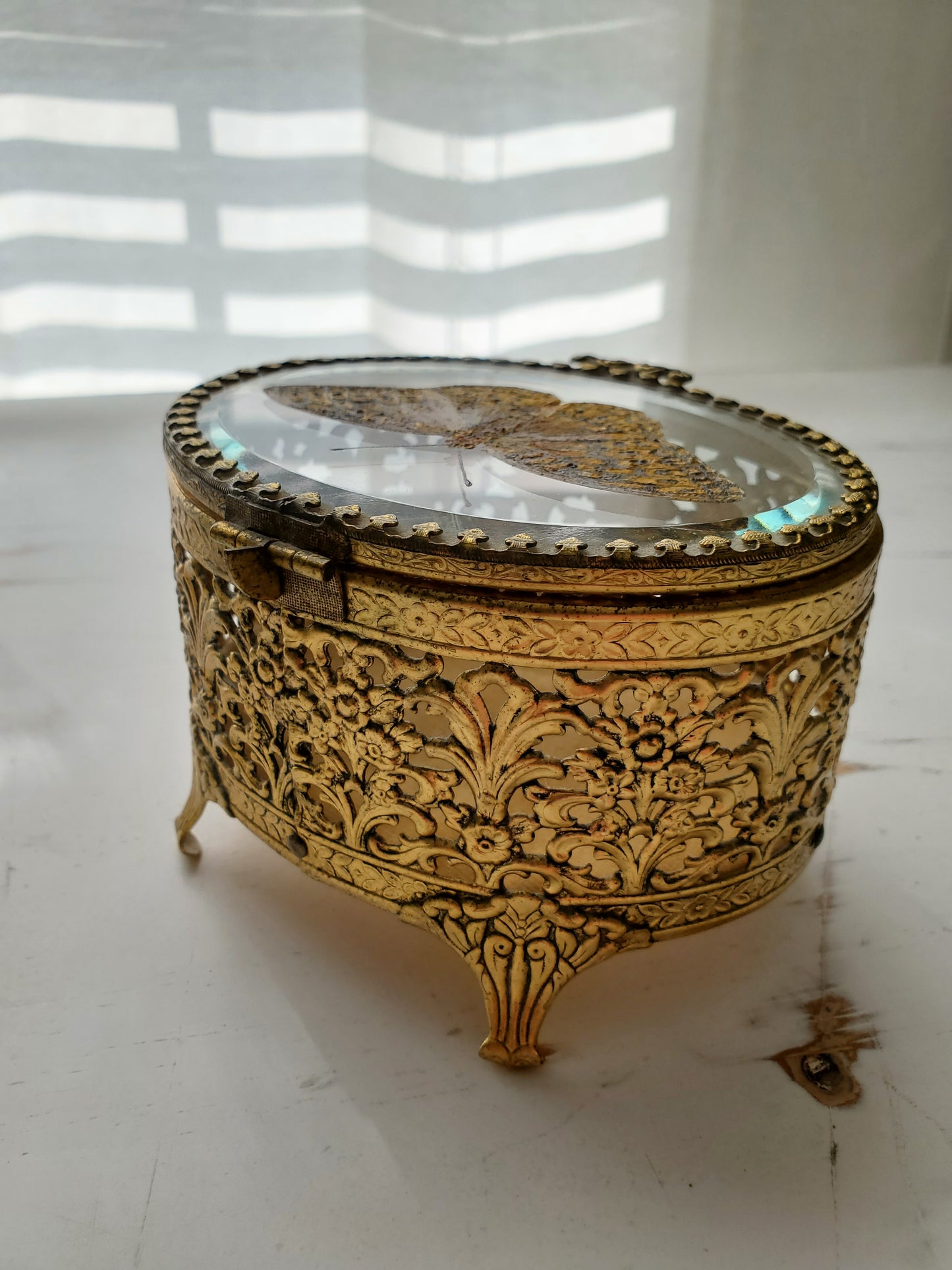 Great Spangled Fritillary + Trinket Box